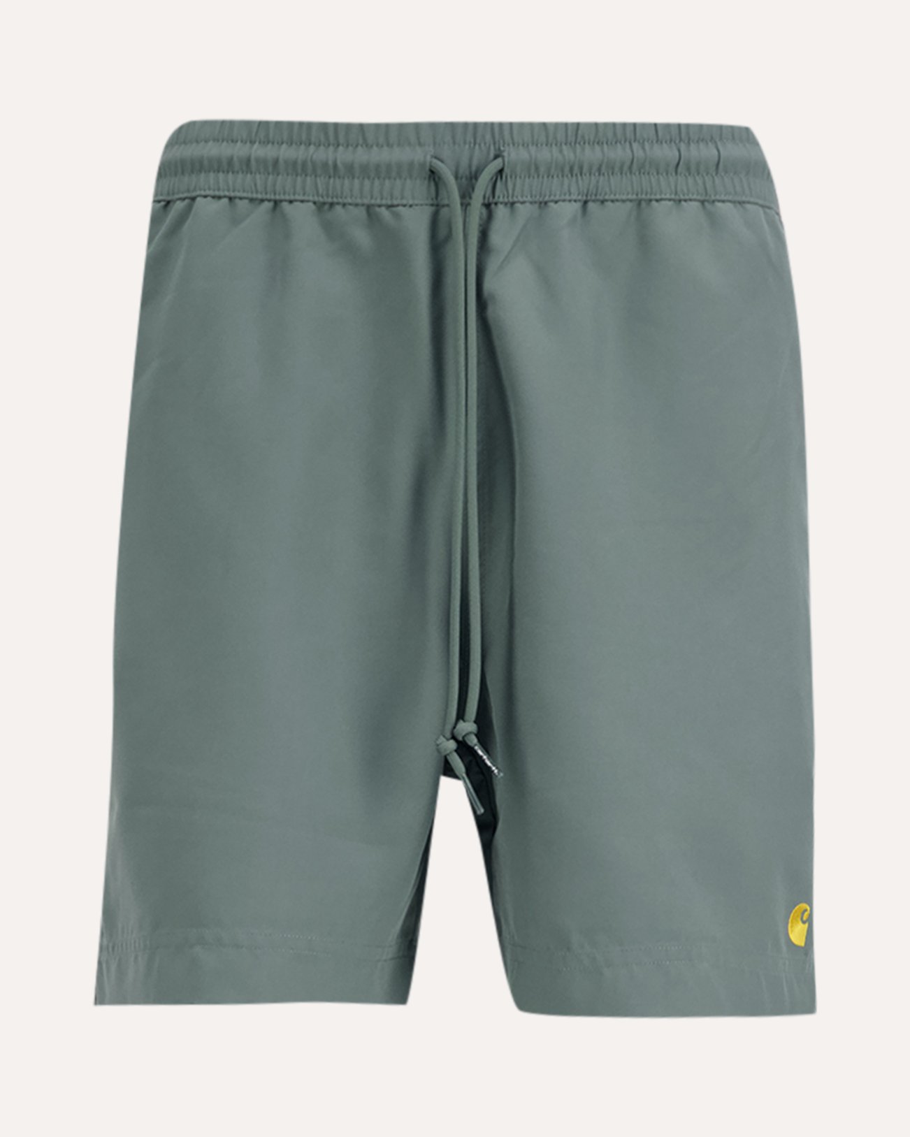 Carhartt Chase Swim Trunks GROEN 1