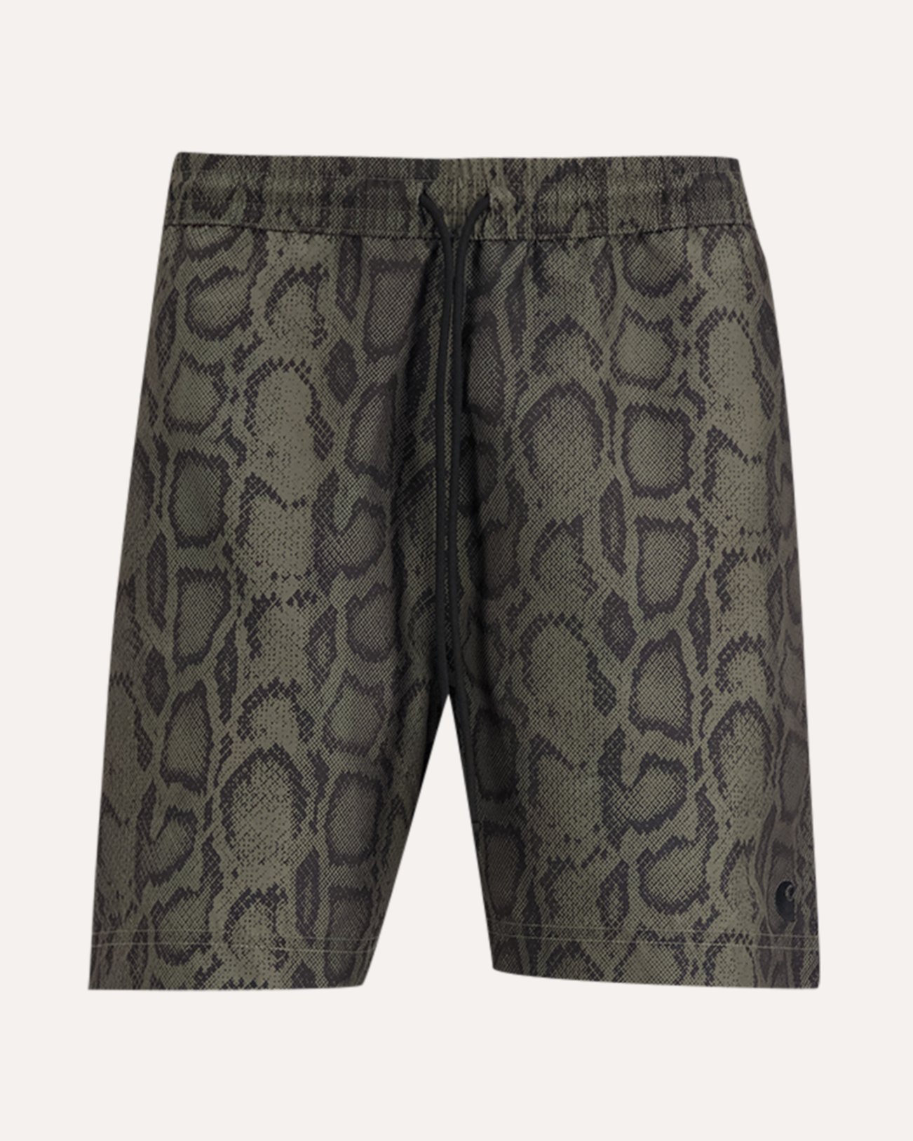 Carhartt Slater Swim Trunks GROEN 1