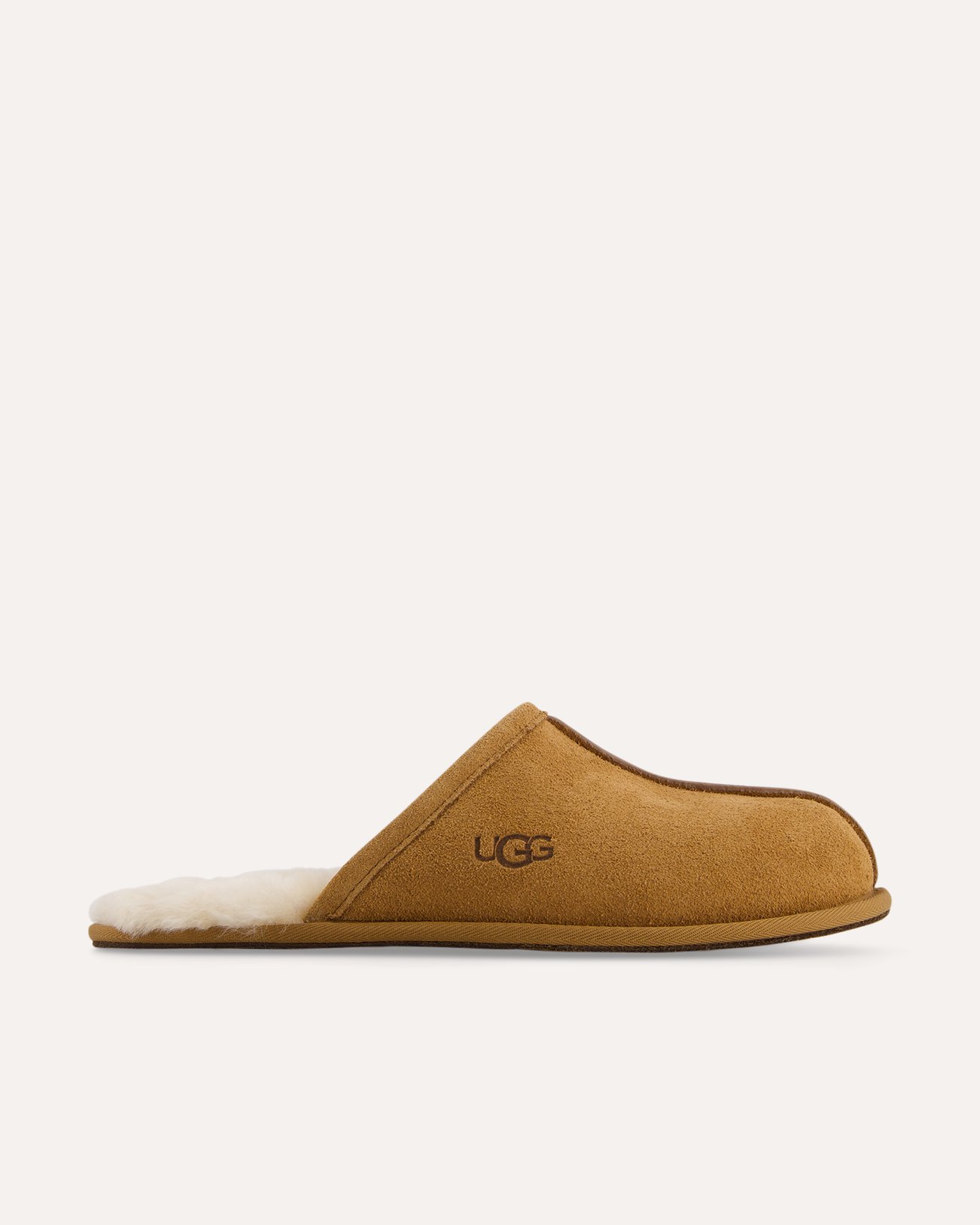 UGG M Scuff BRUIN 1
