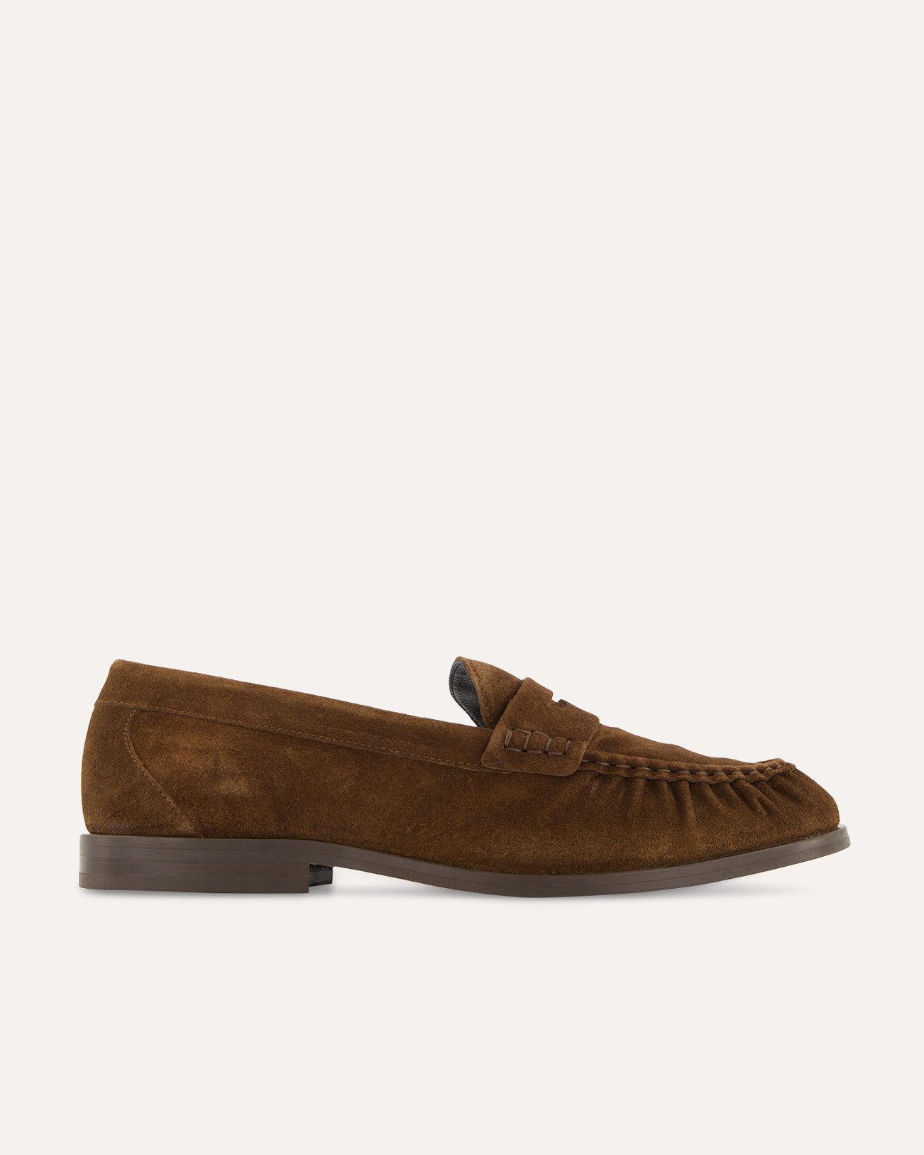 Vinny's Louee Vale BRUIN 1