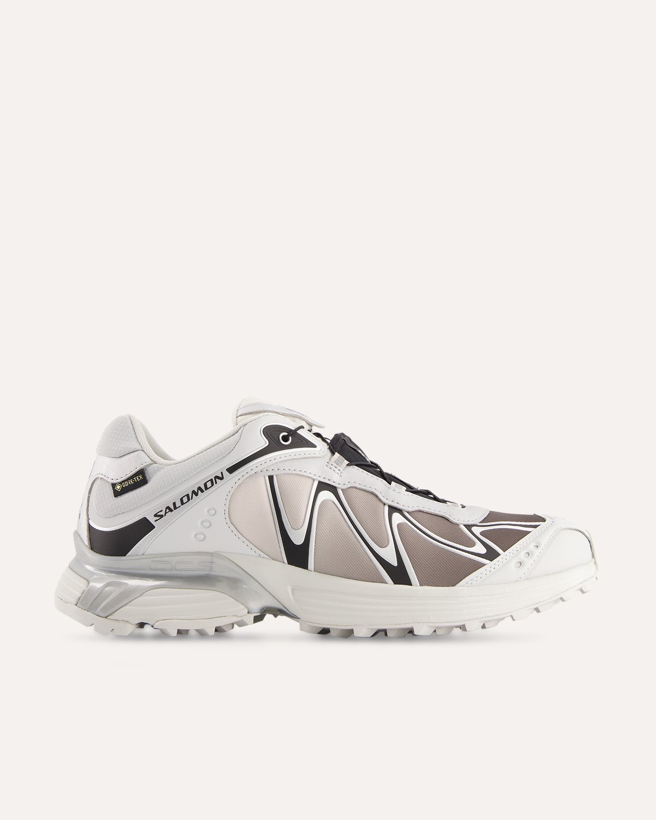 Salomon XT-Whisper GTX LICHTGRIJS 1