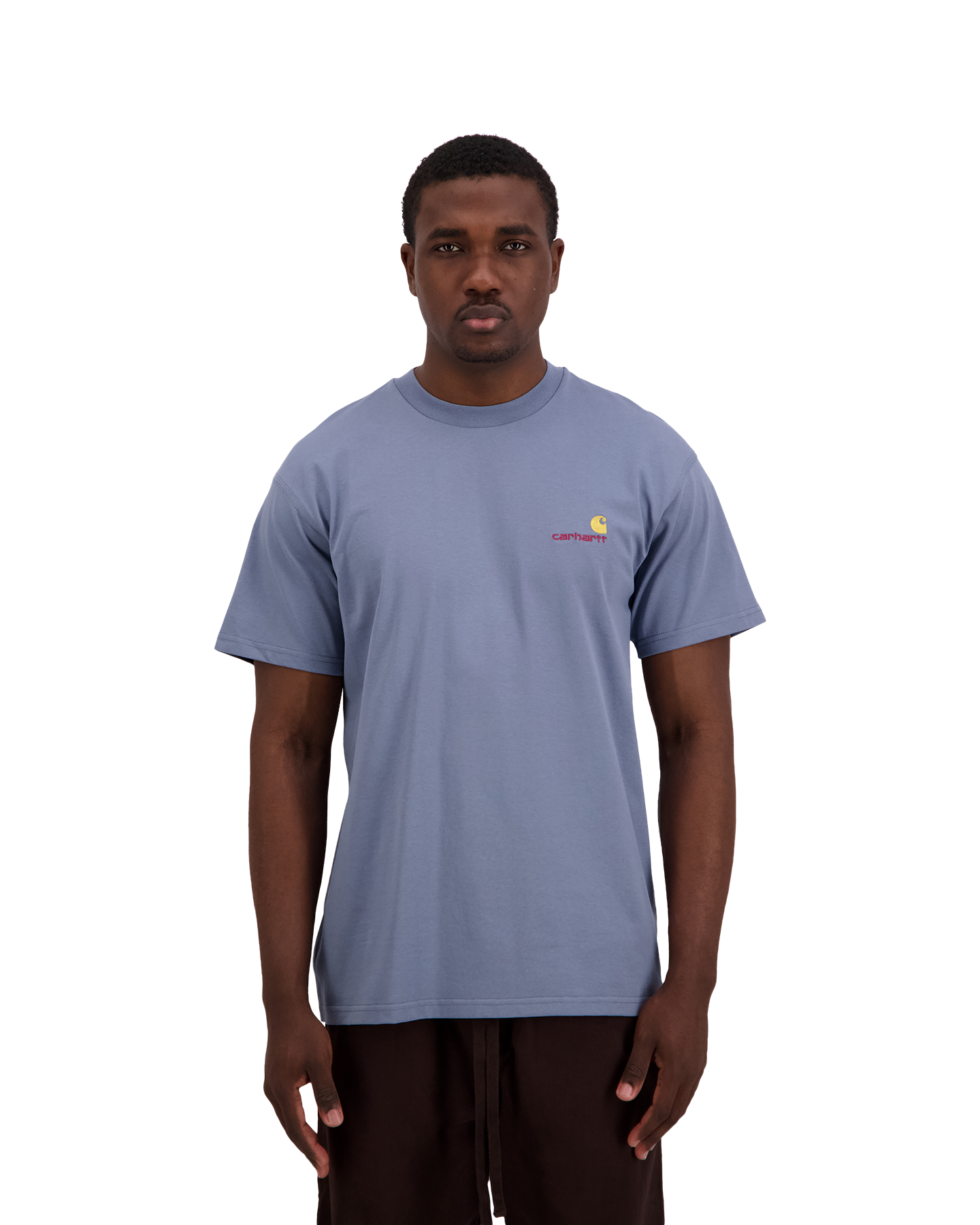 Carhartt S/S American Script T Shirt BLAUW 4