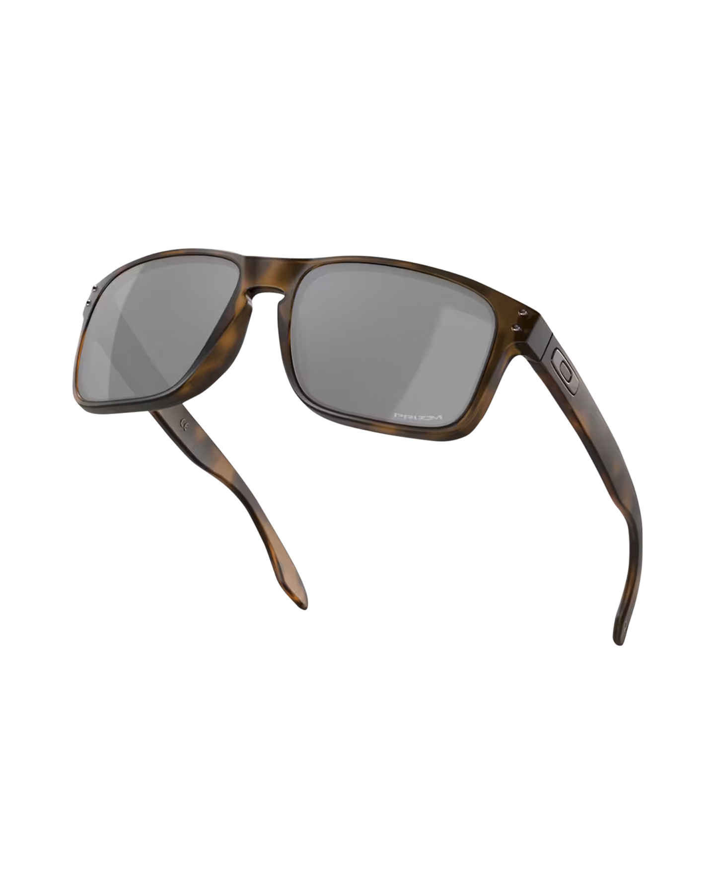 Oakley Holbrook BRUIN 4