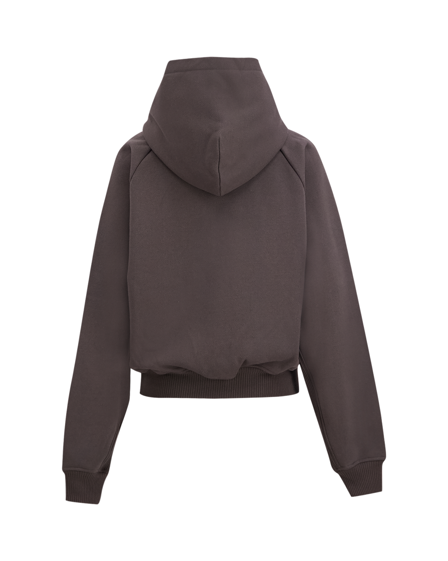 PAL Sporting Goods Pre Game Womens Hoodie BRUIN 2