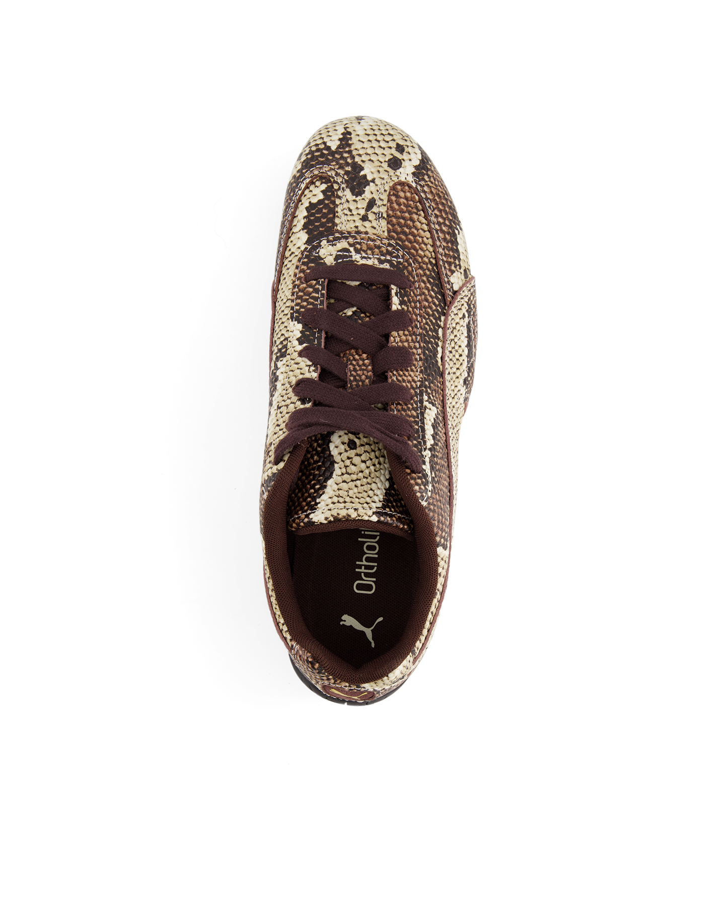 Puma Speedcat Snake BRUIN 5