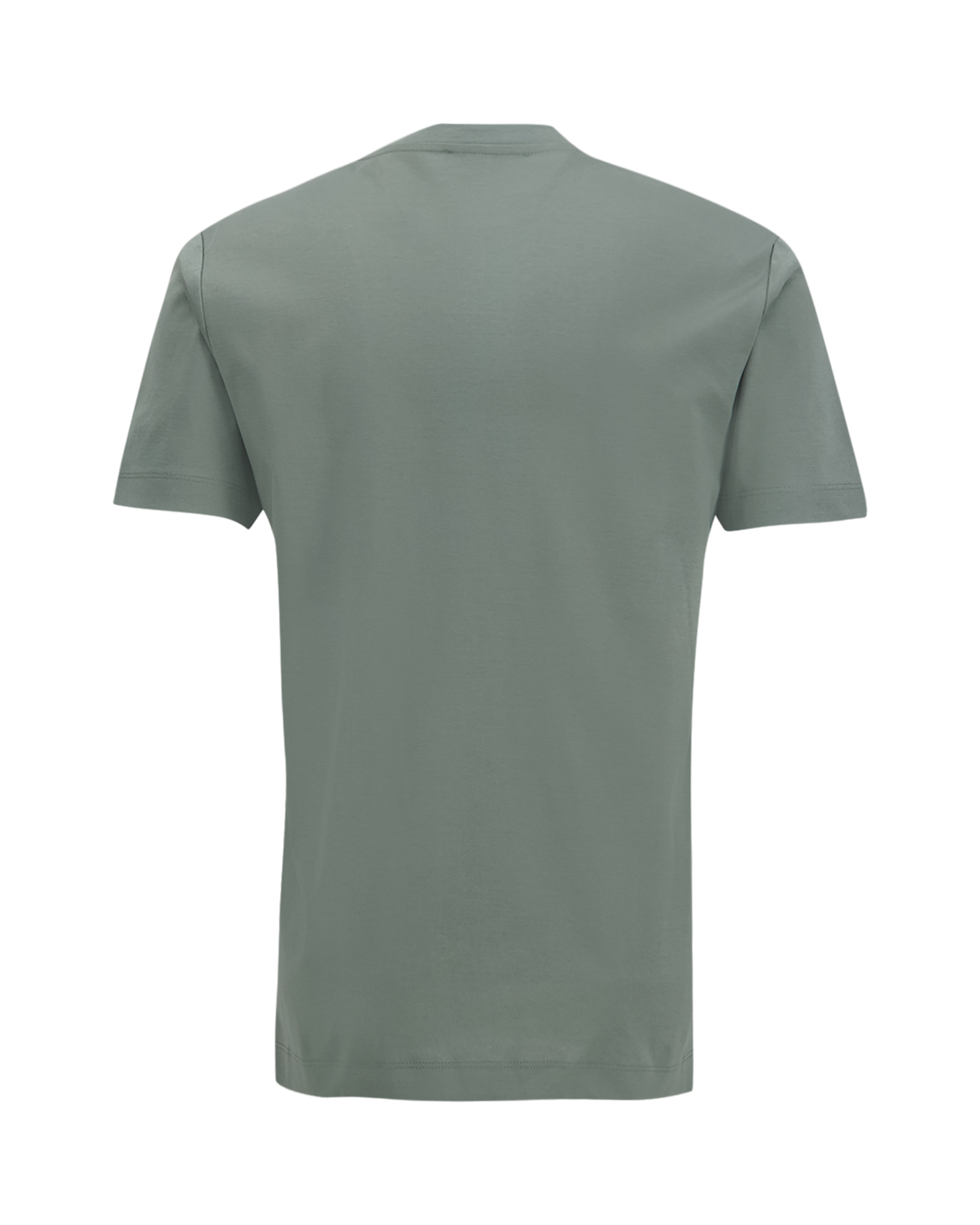 Valenza Interlock Supima T-Shirt GROEN 2