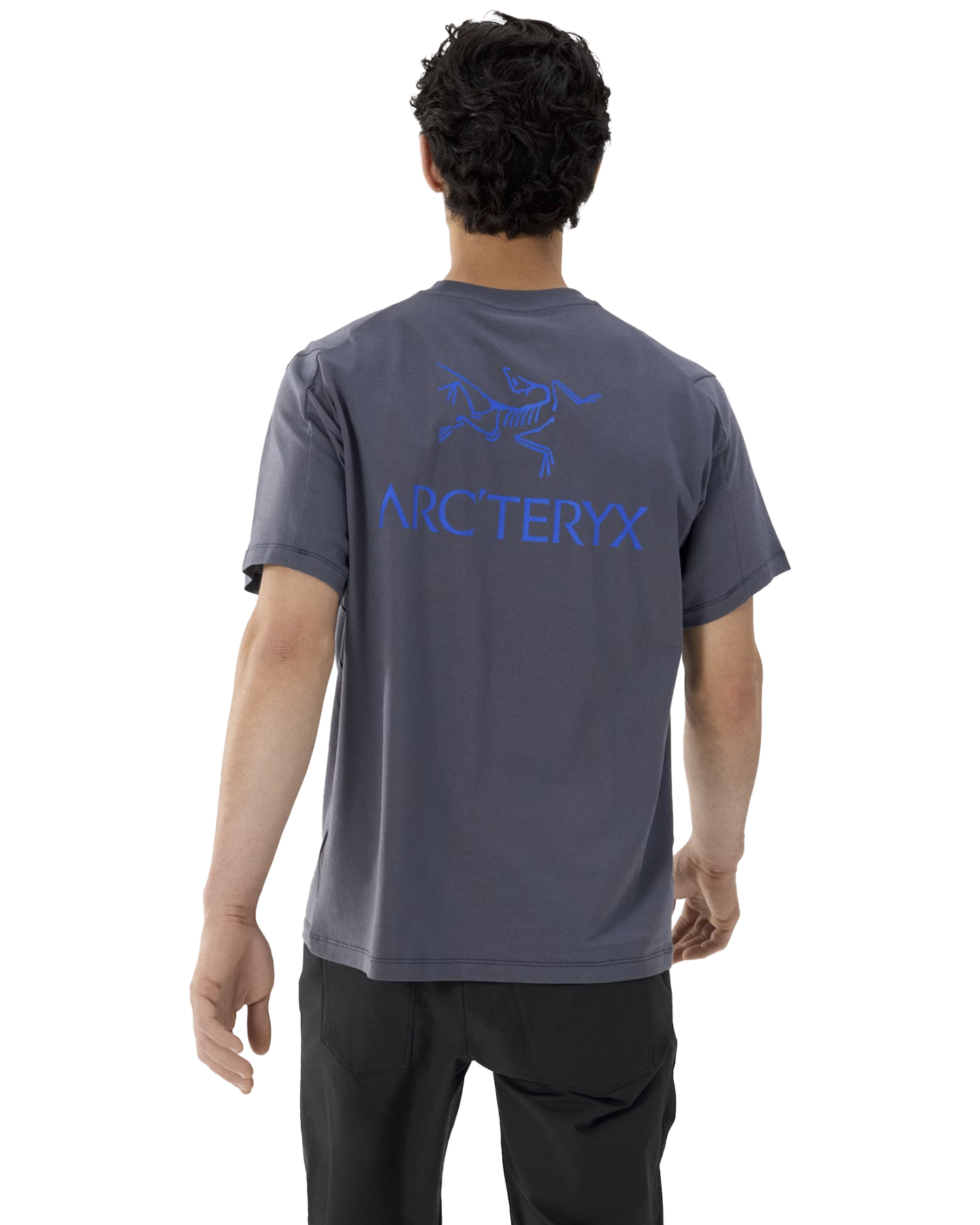 Arc'teryx Kragg Sl Cotton Bird Word Ss M GRIJS 4
