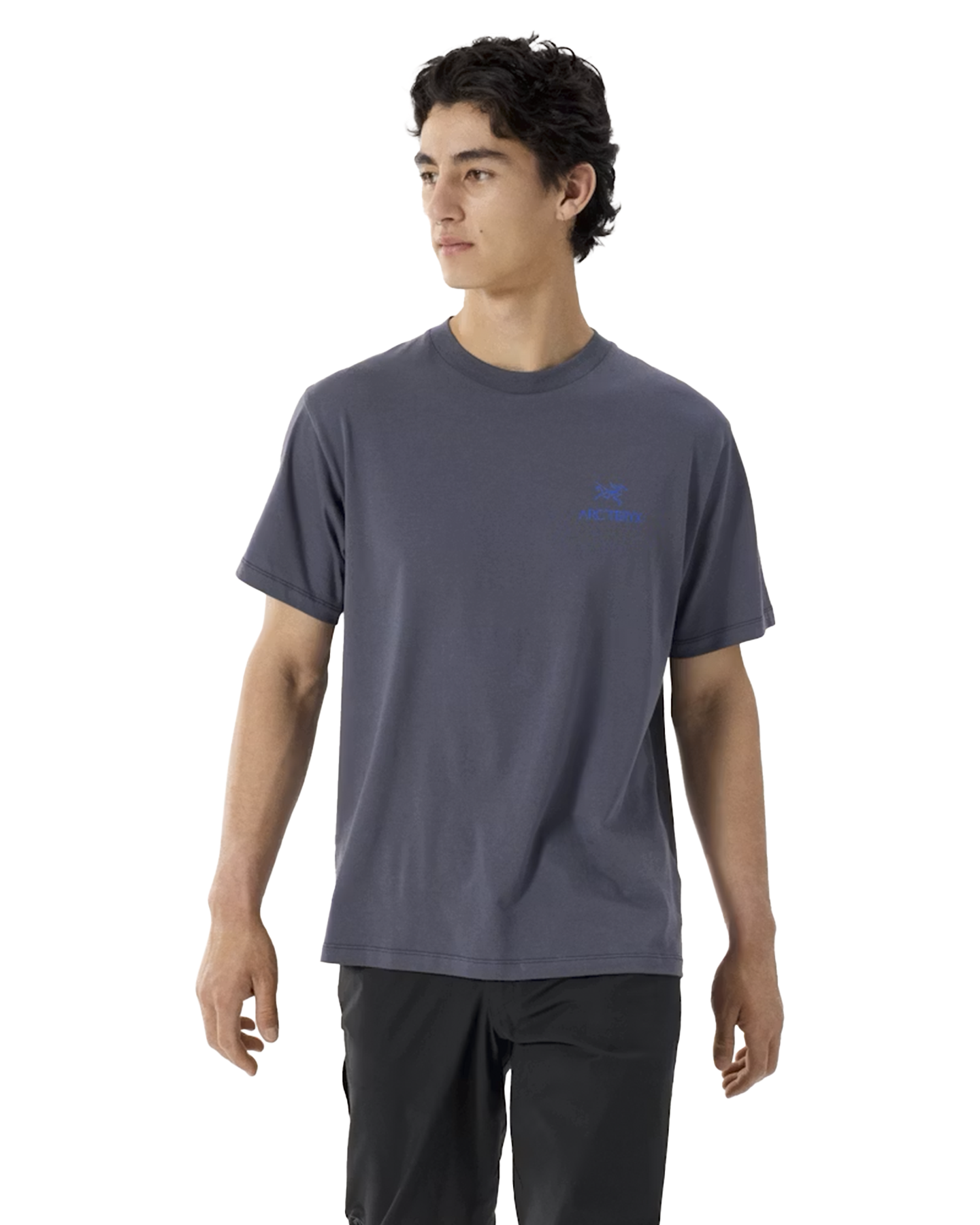 Arc'teryx Kragg Sl Cotton Bird Word Ss M GRIJS 3