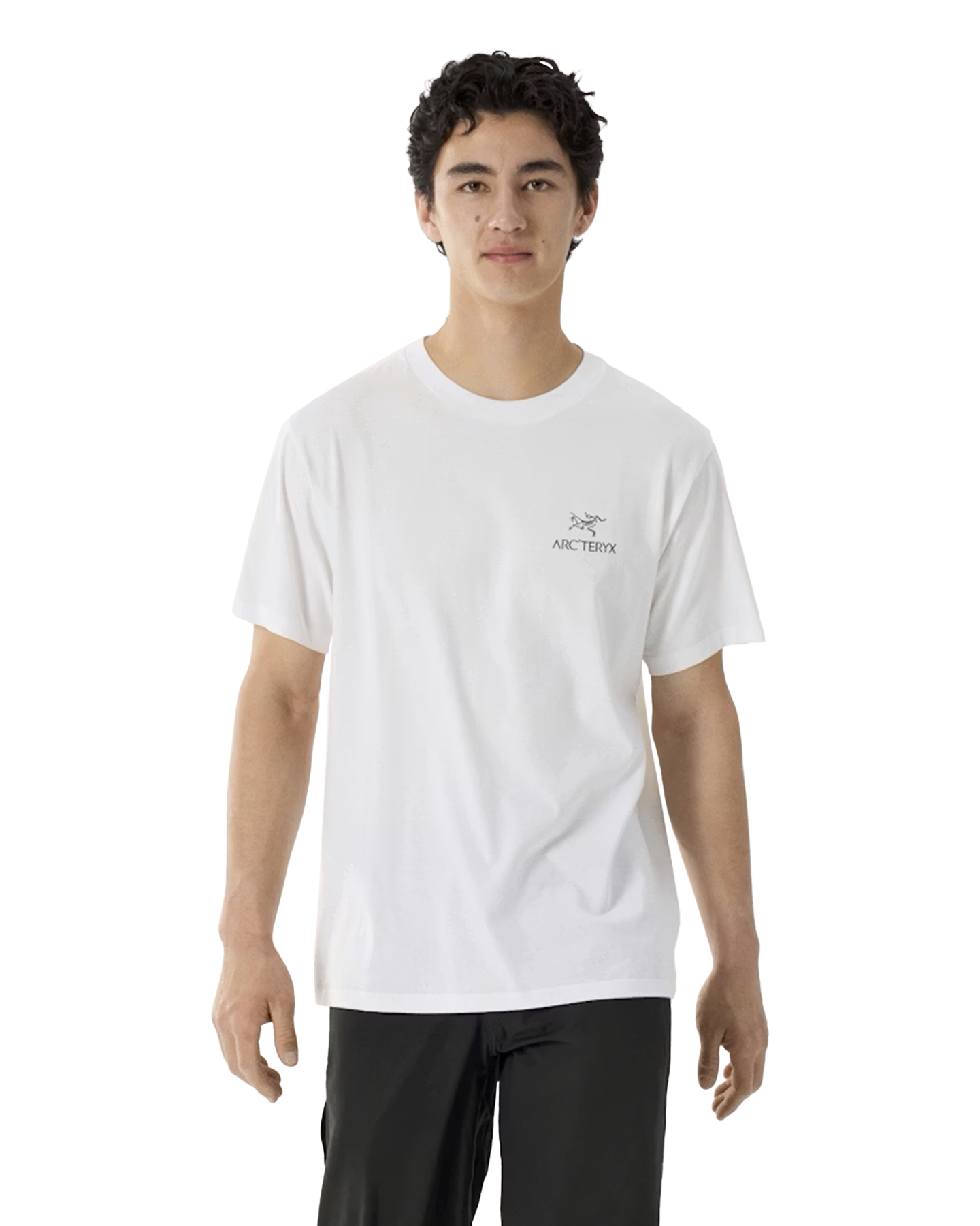Arc'teryx Kragg Sl Cotton Bird Word Ss M WIT 3