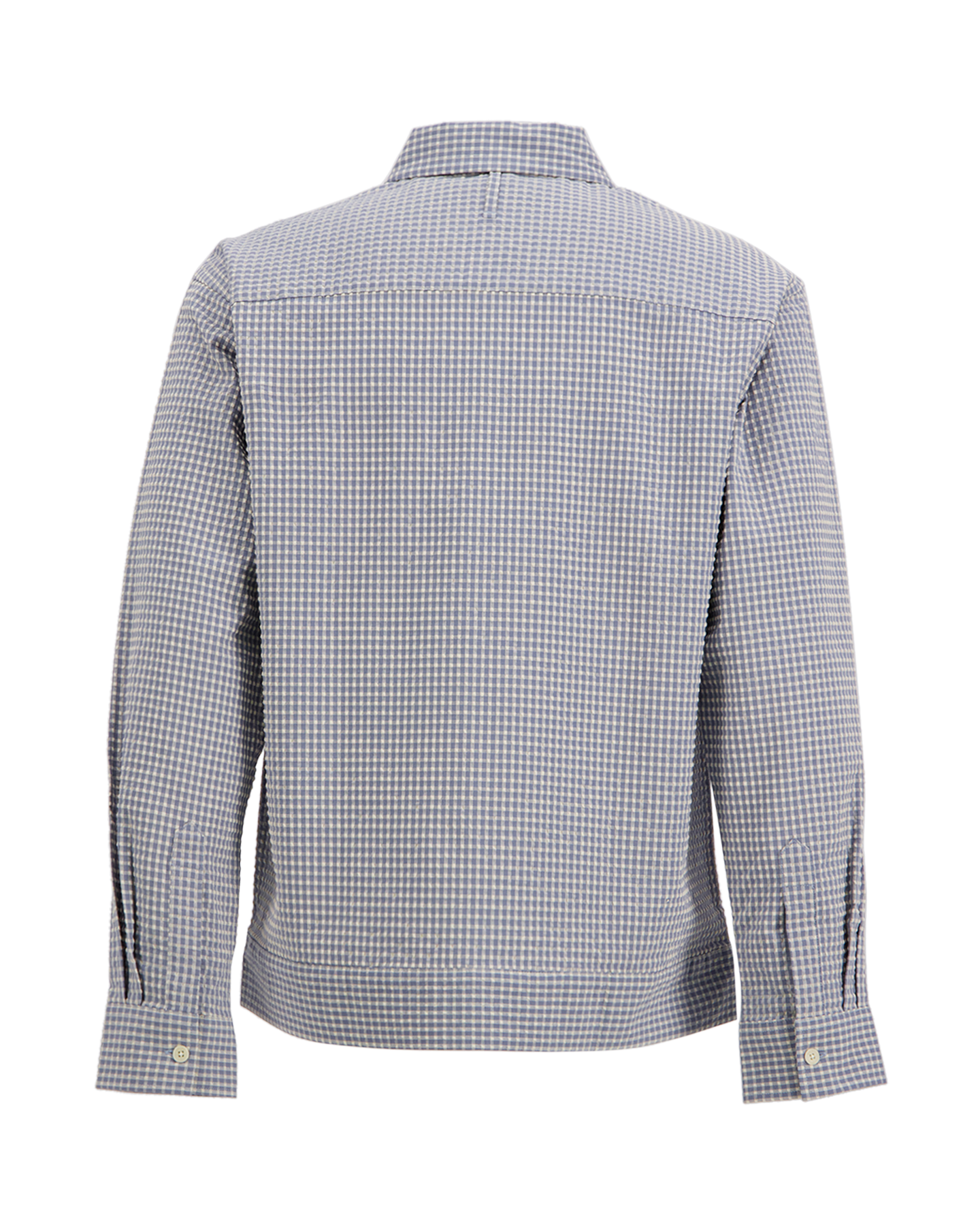 NN.07 Reed 50057 BLAUW 2