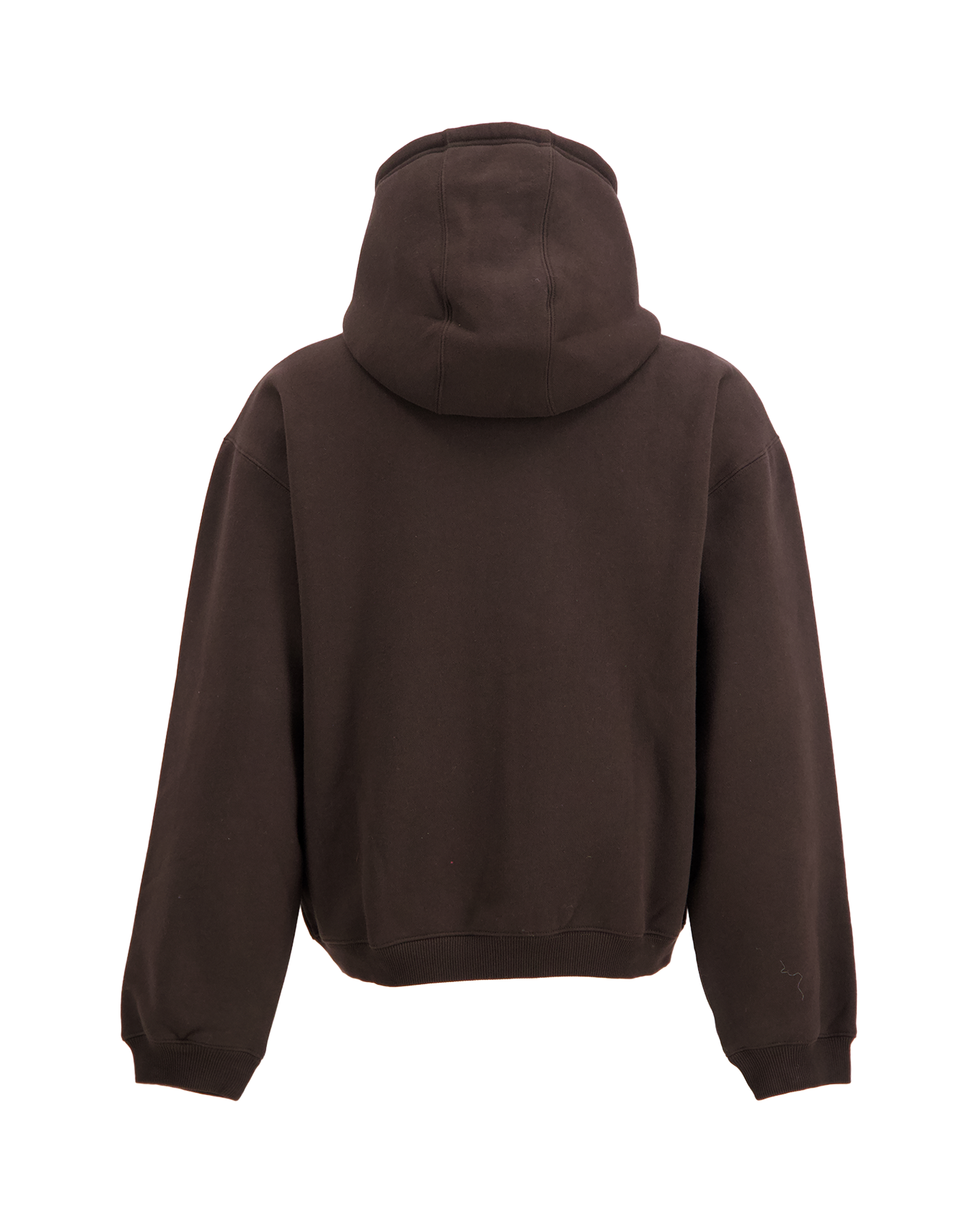 Carhartt Hooded Ebbert Jacket BRUIN 2