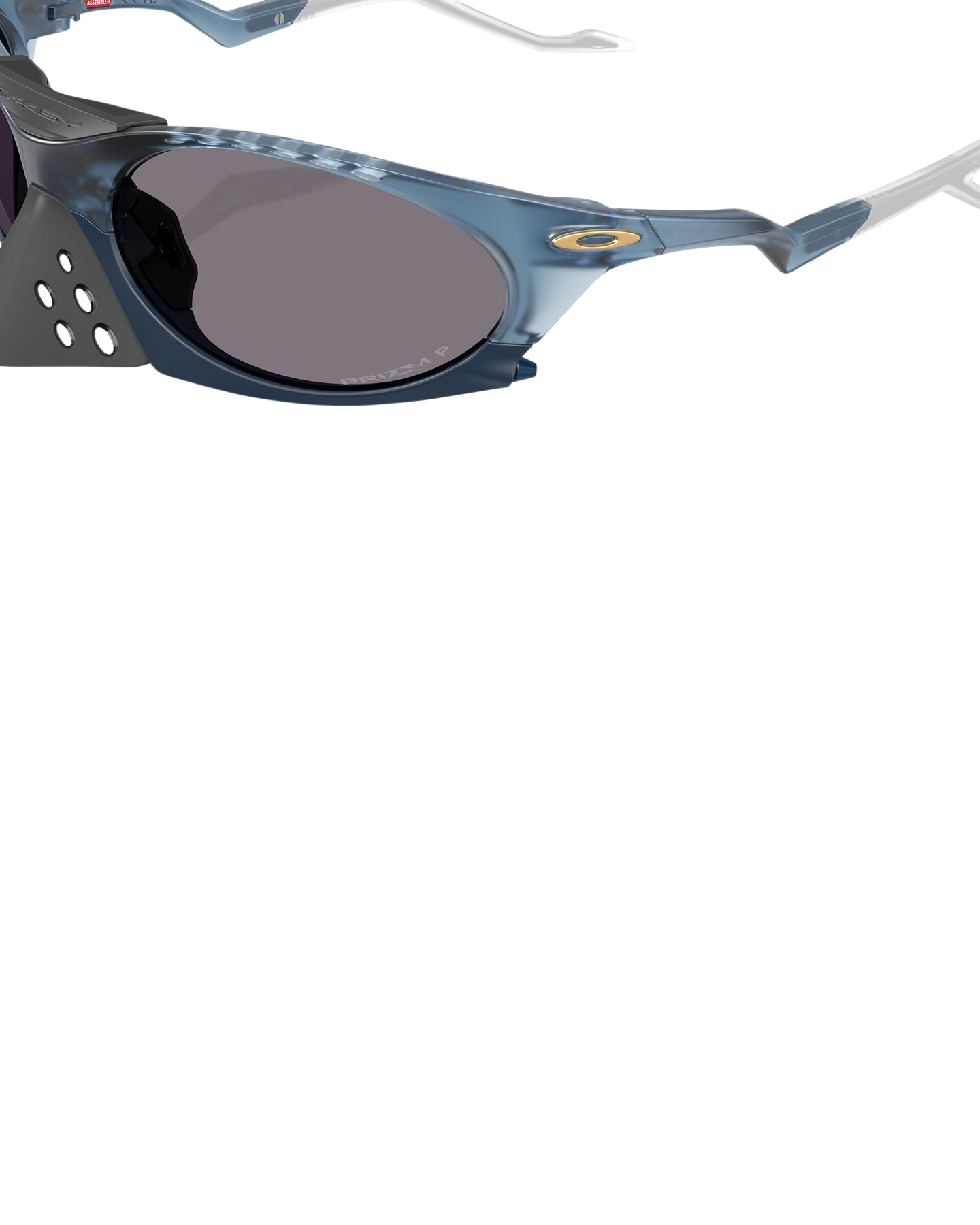 Oakley Plantaris DONKERBLAUW 5