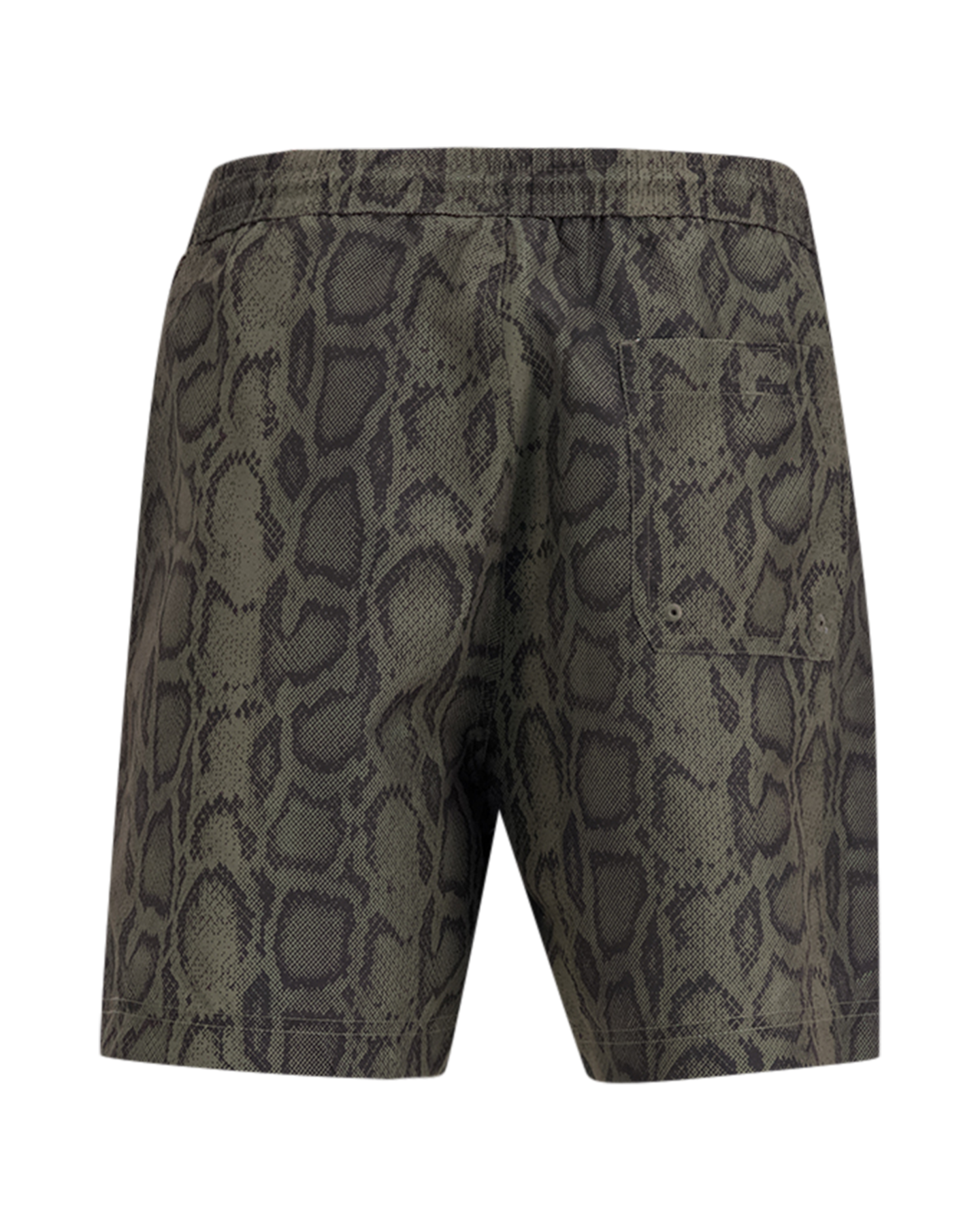 Carhartt Slater Swim Trunks GROEN 2