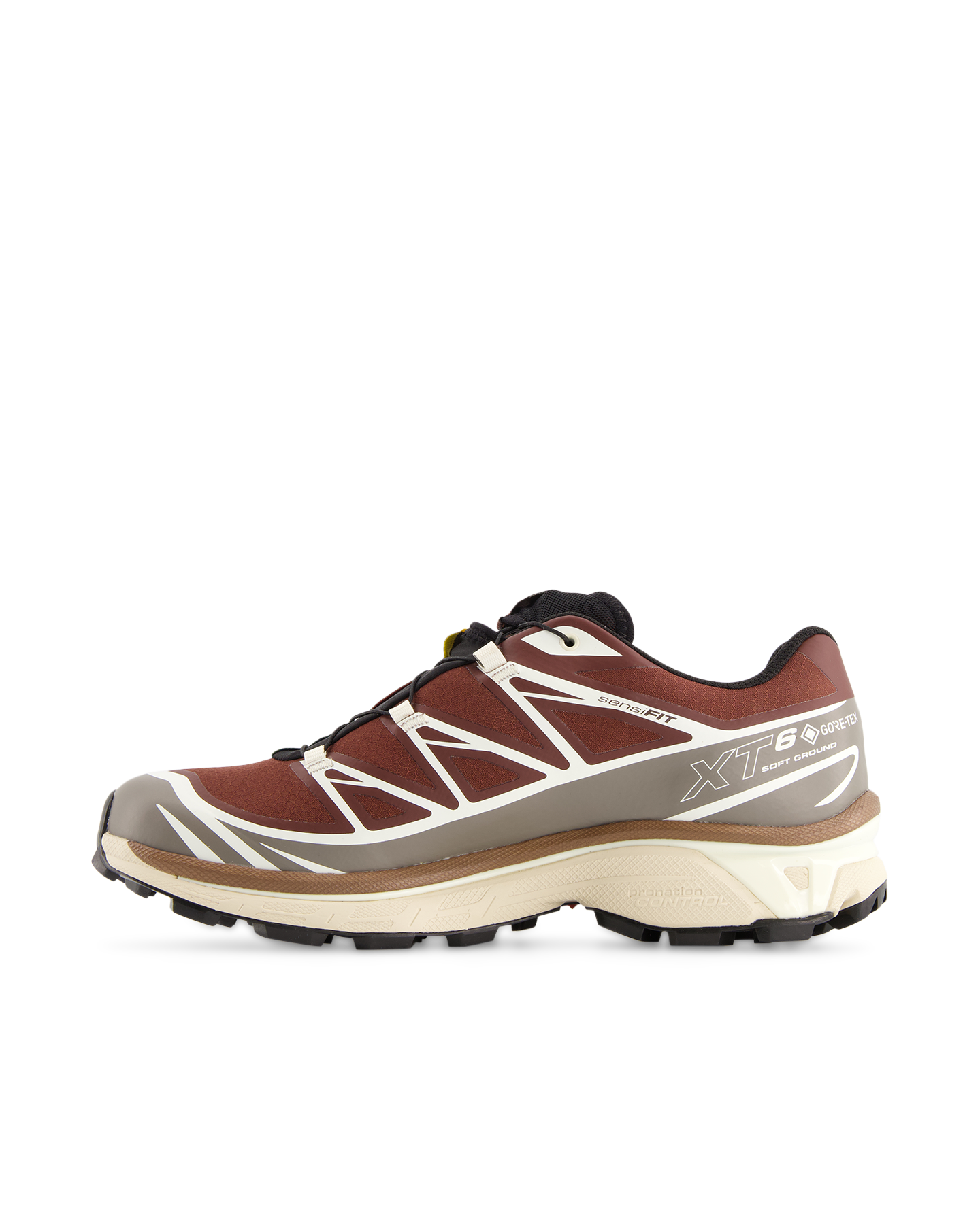 Salomon XT-6 GTX BRUIN 3
