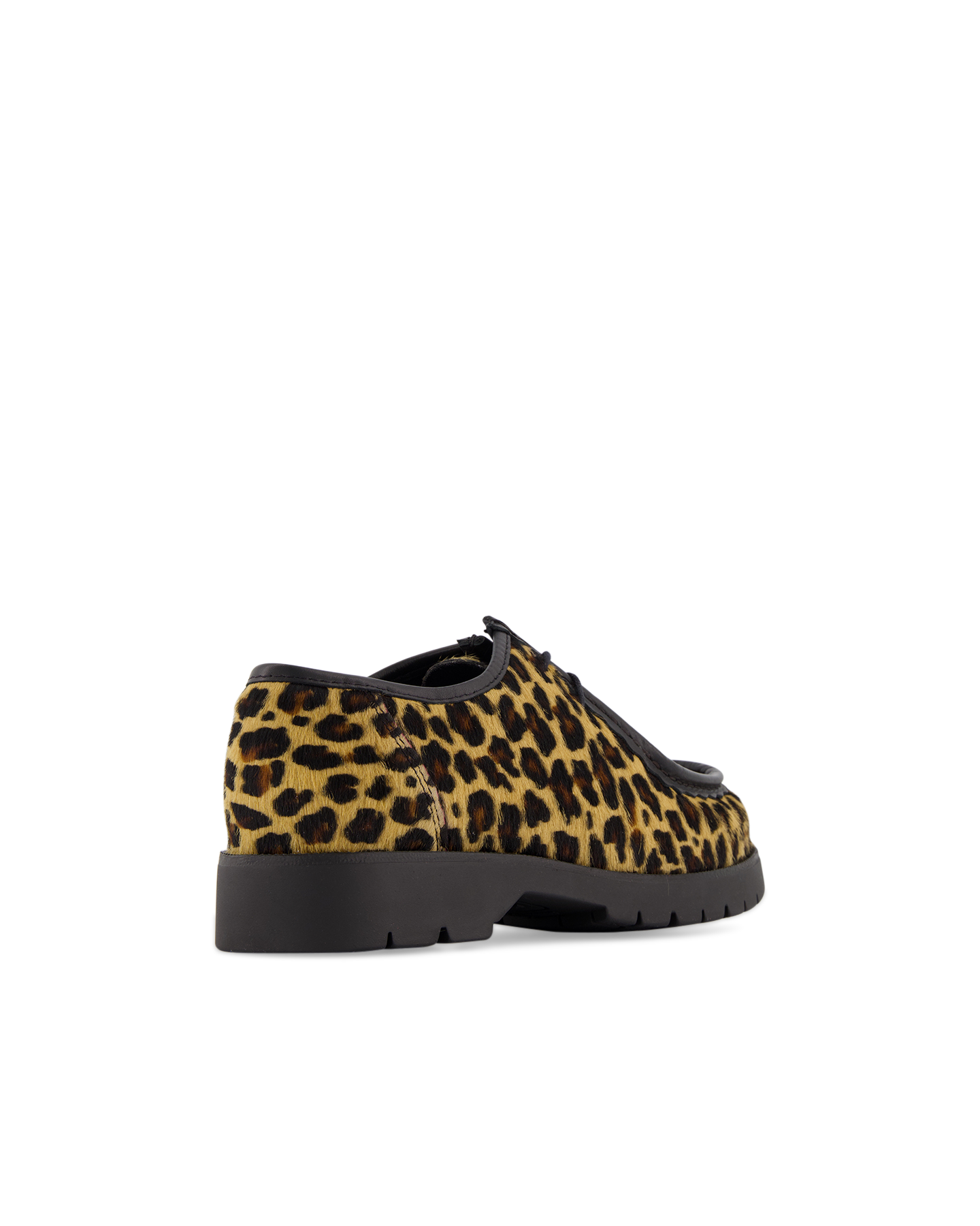 Kleman Padror Xfun BRUIN 4