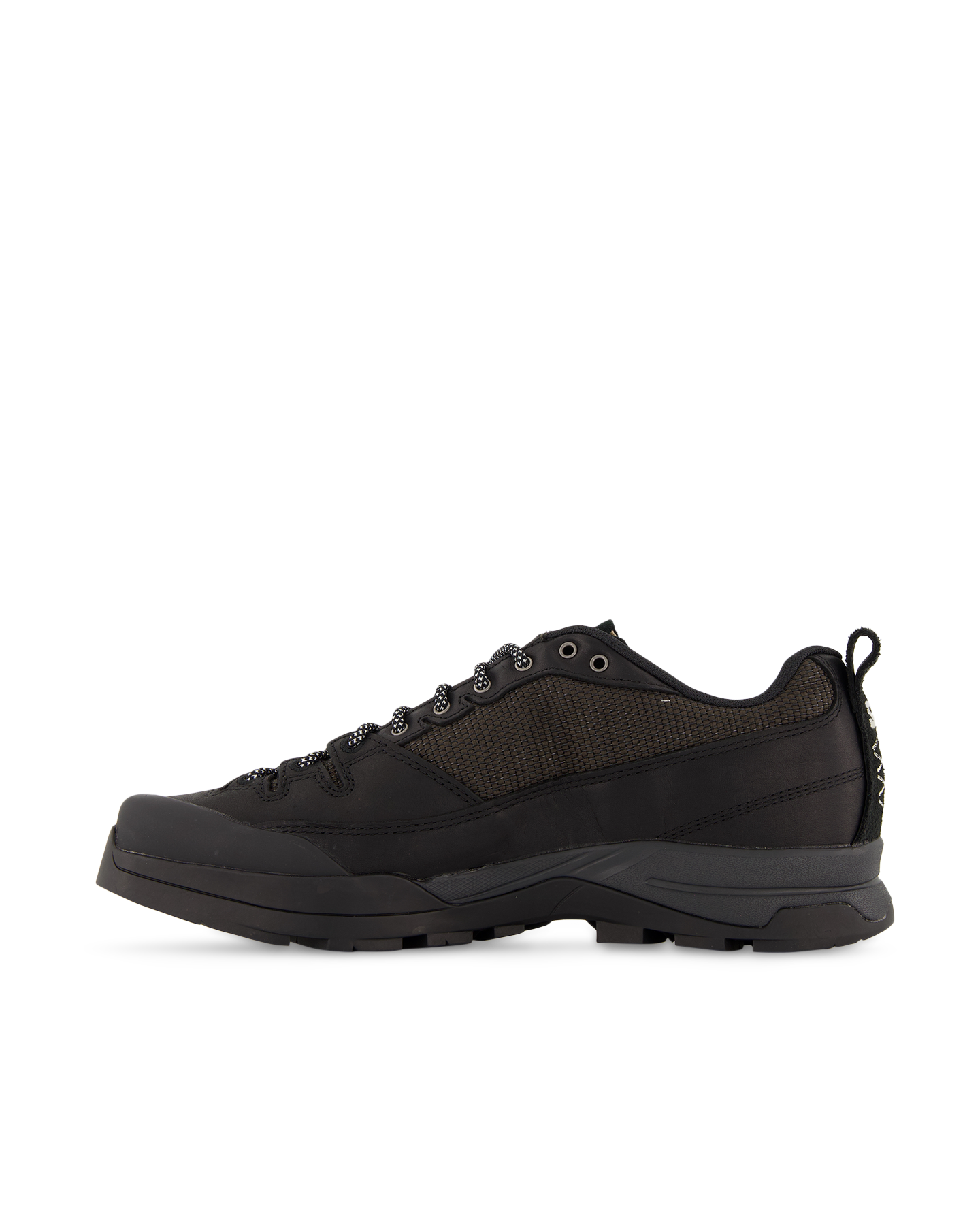 Salomon X-Alp Alpine Echoes ZWART 3