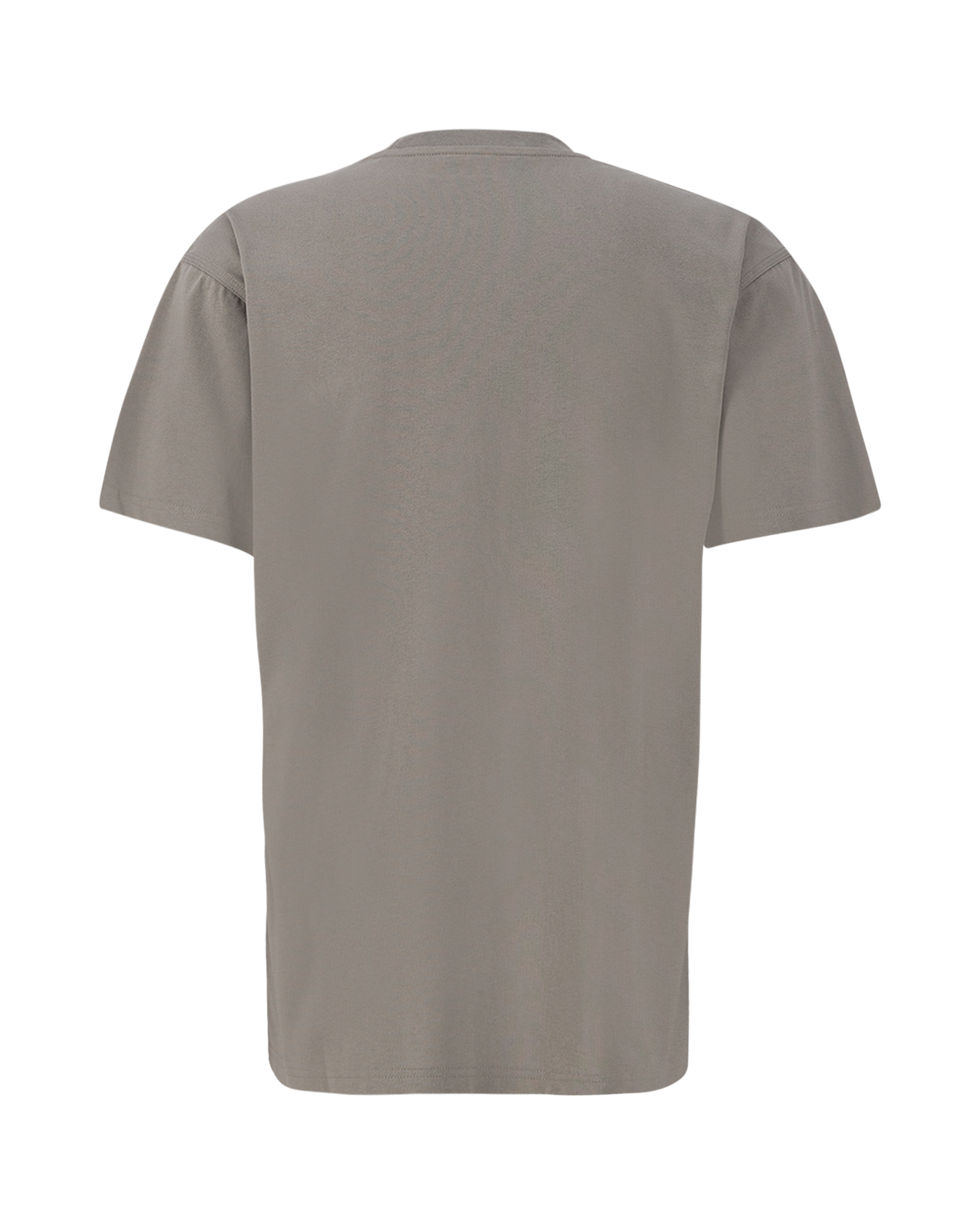 Carhartt WIP S/S American Script T-Shirt GRIJS 2