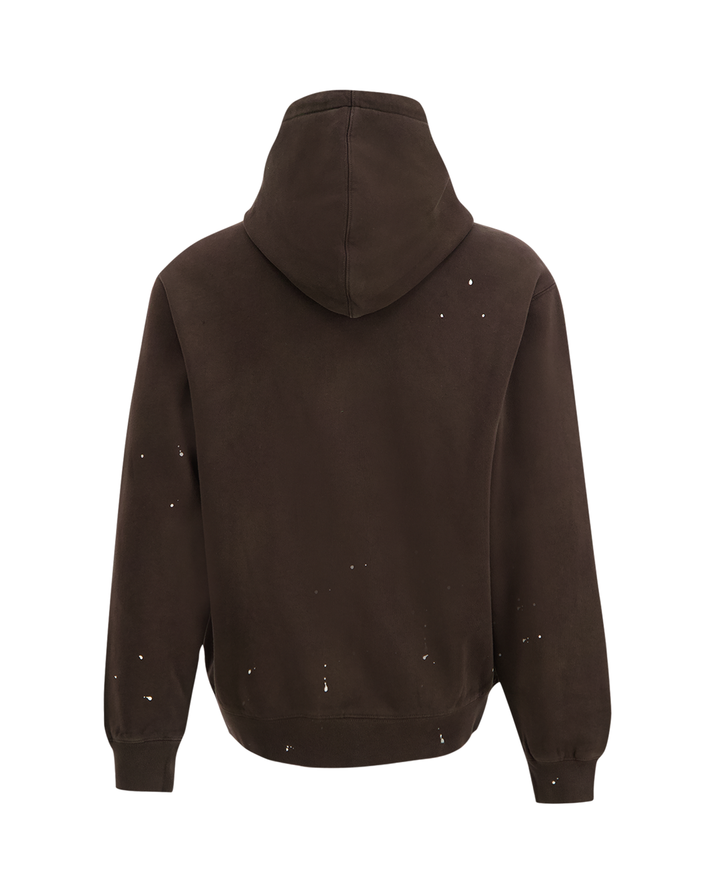 Carhartt Hooded Painter Jacket BRUIN 2