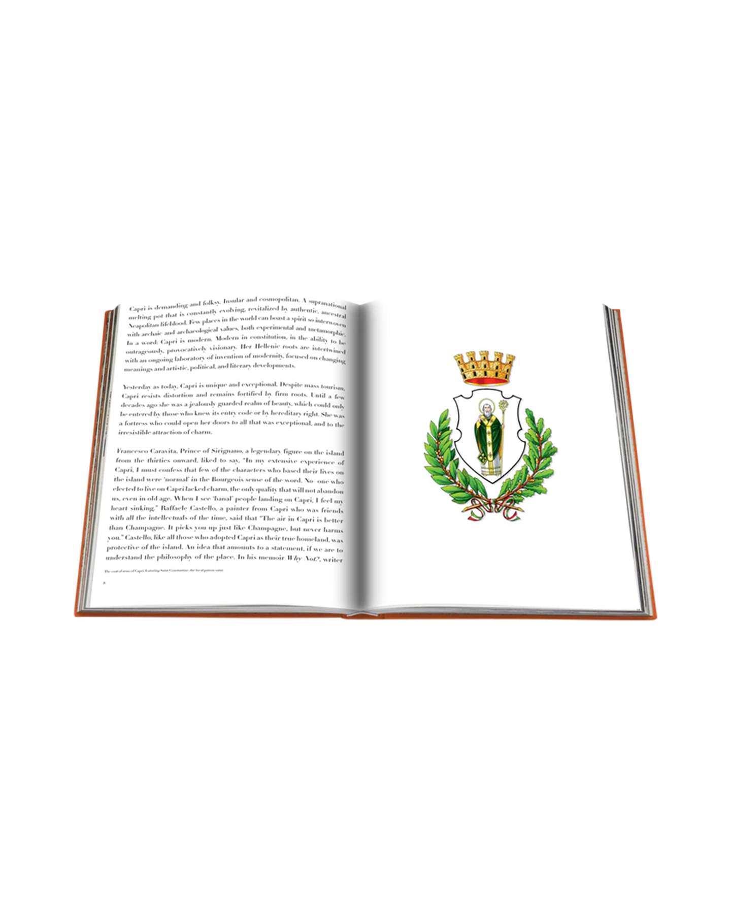 Assouline Capri Dolce Vita GEEN KLEUR 4