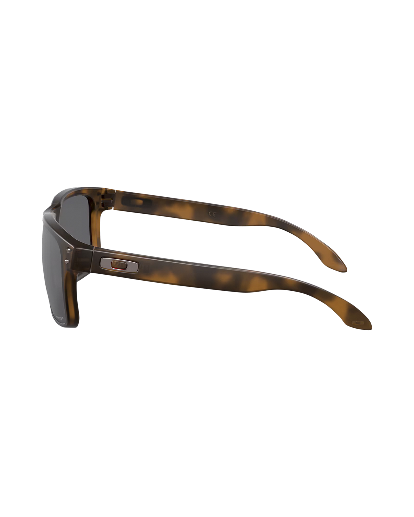Oakley Holbrook BRUIN 3