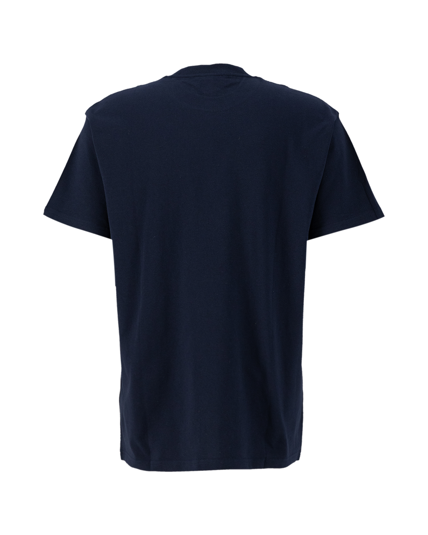 Carhartt WIP S/S Script Embroidery T-Shirt BLAUW 2