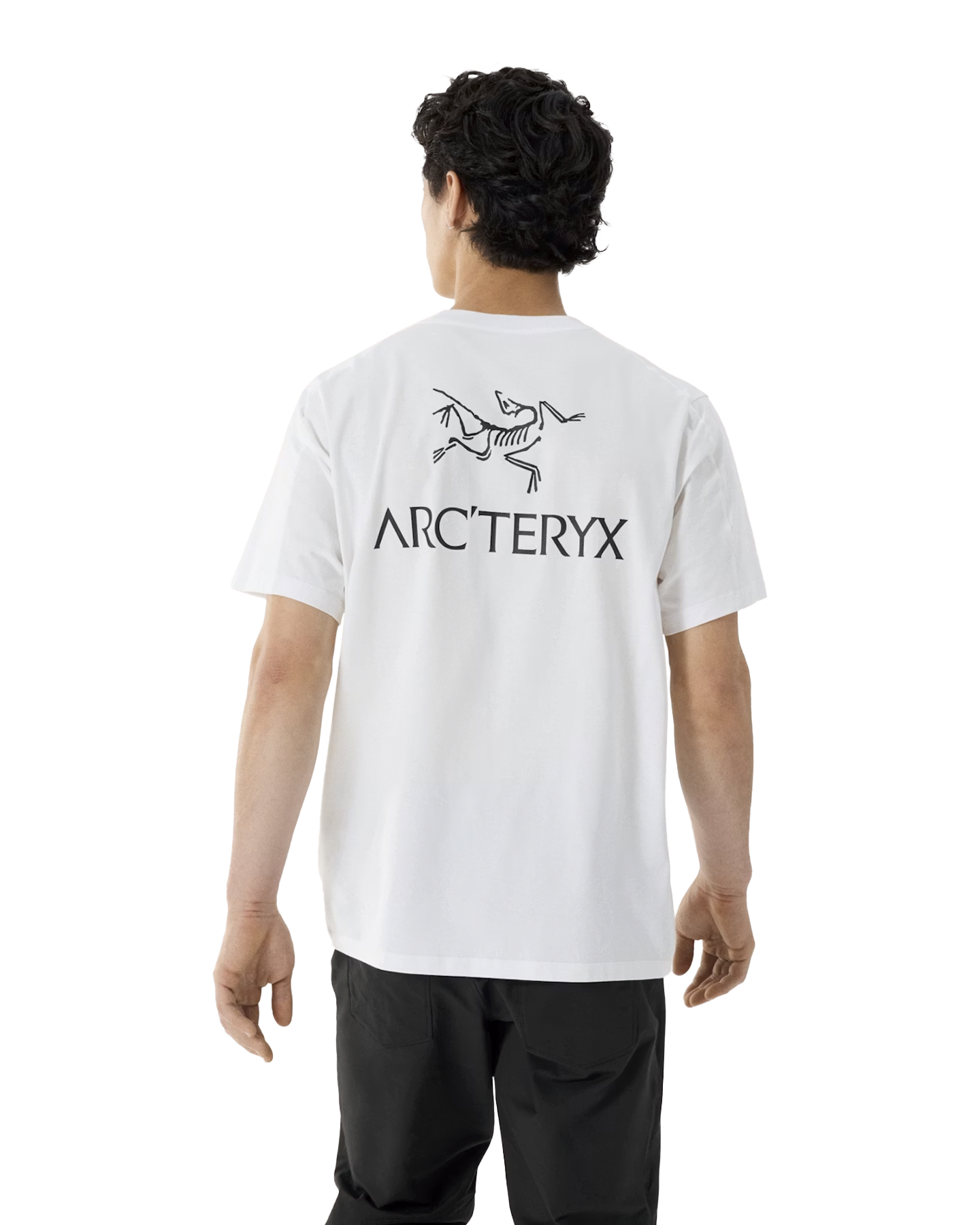Arc'teryx Kragg Sl Cotton Bird Word Ss M WIT 4