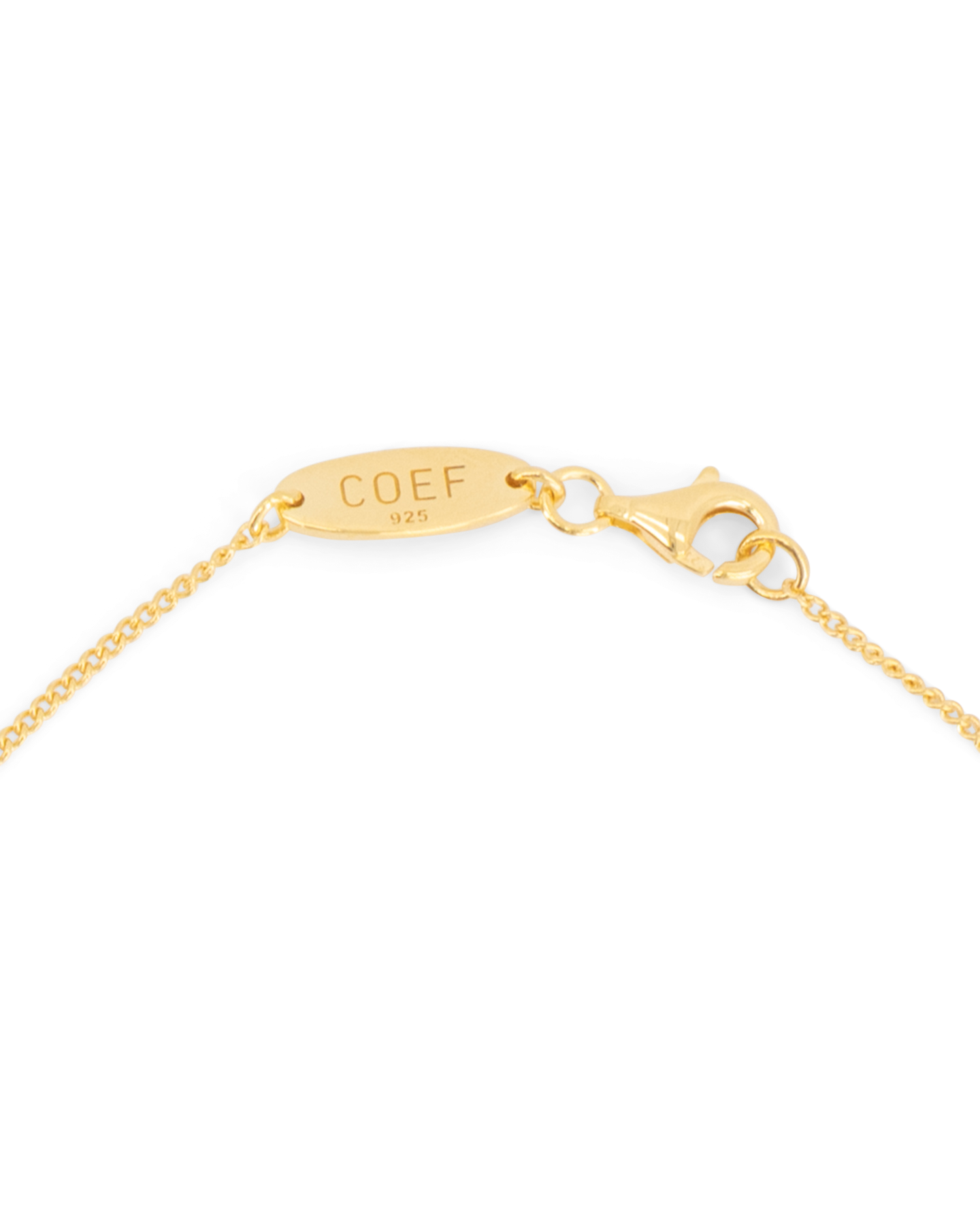 Coef Cane Necklace GOUD 2