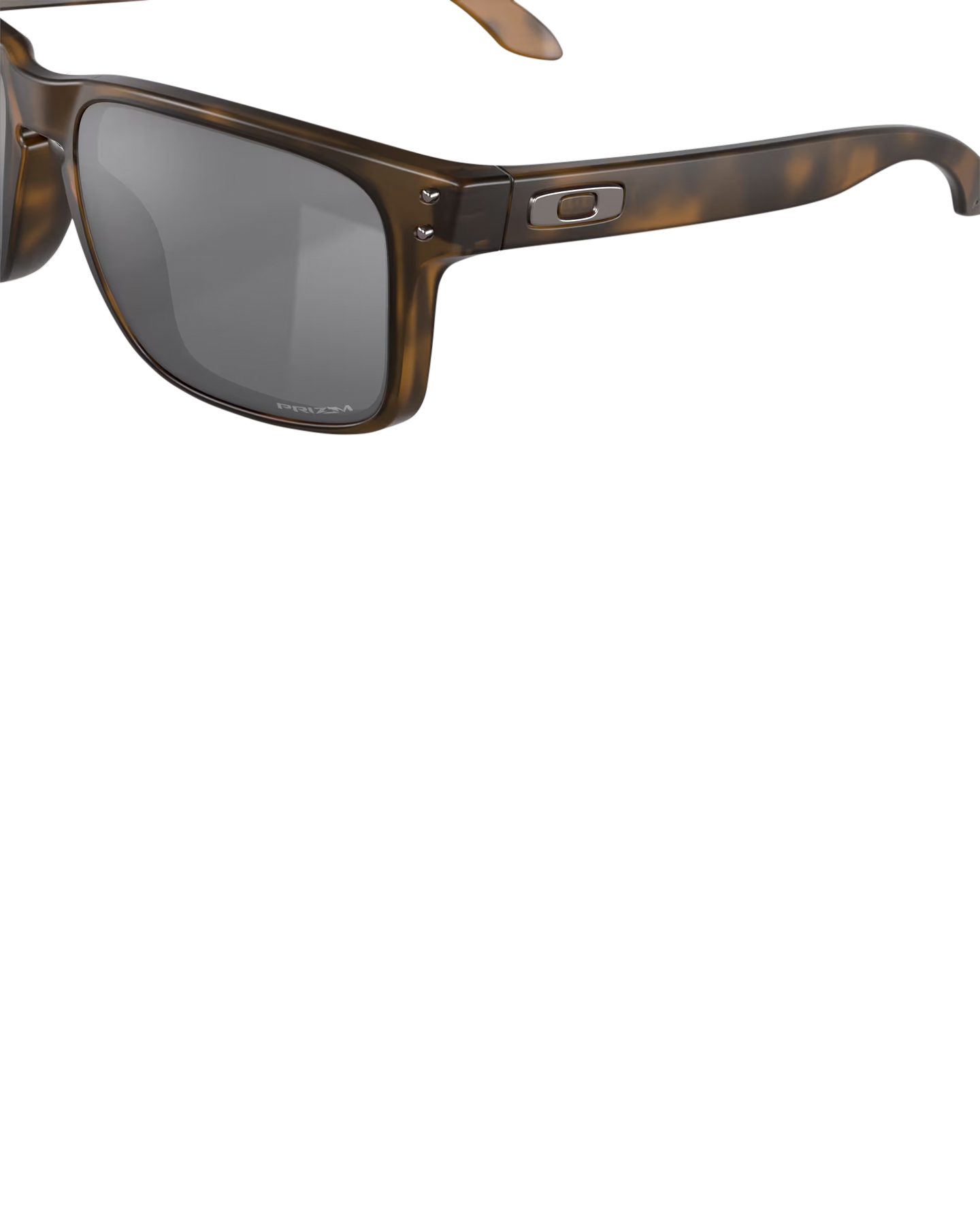 Oakley Holbrook BRUIN 6
