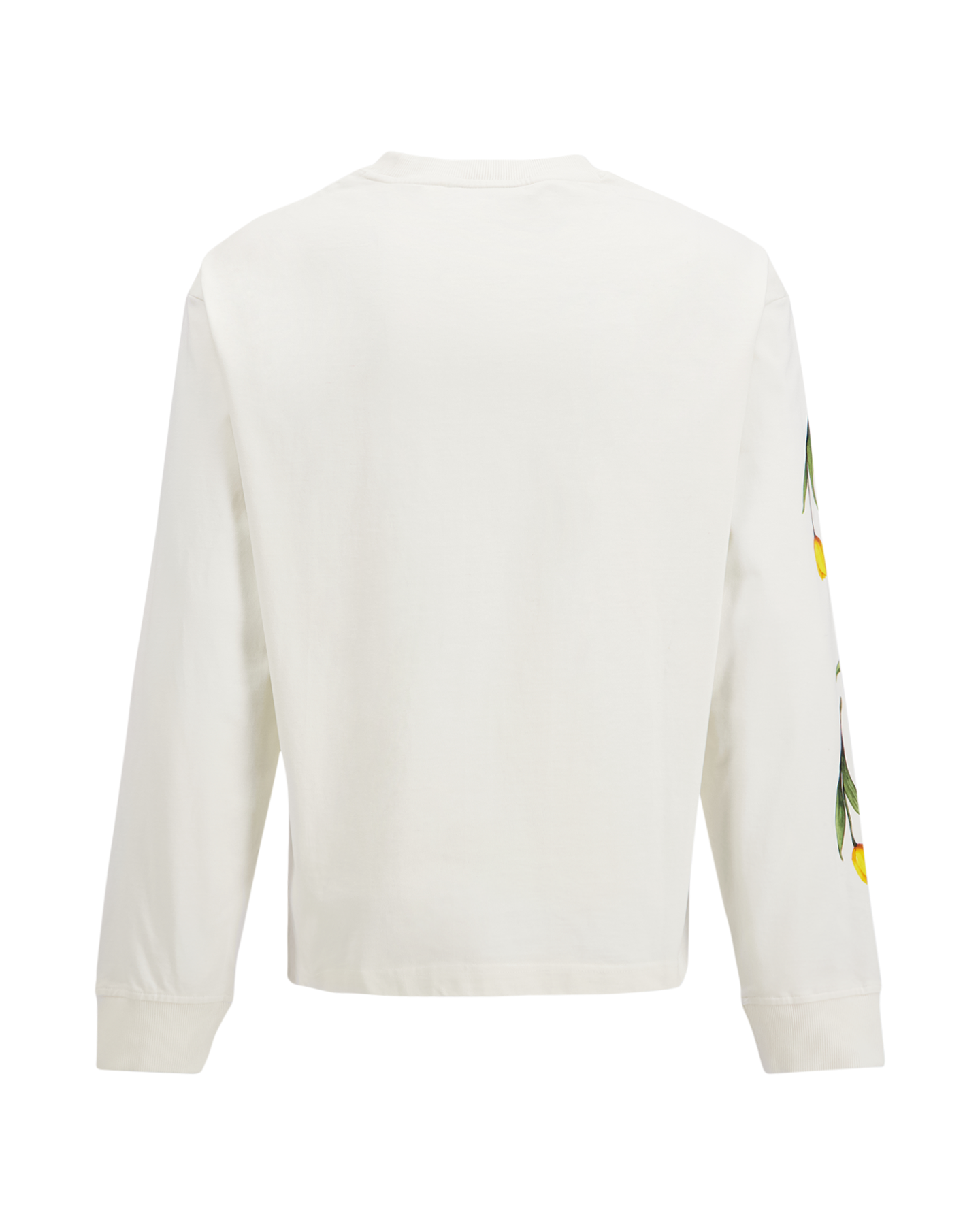 Brams Fruit Flora 2.0 Longsleeve WIT 2