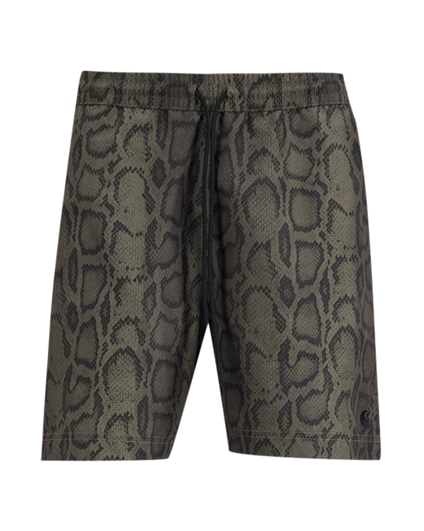 Carhartt Slater Swim Trunks GROEN 1