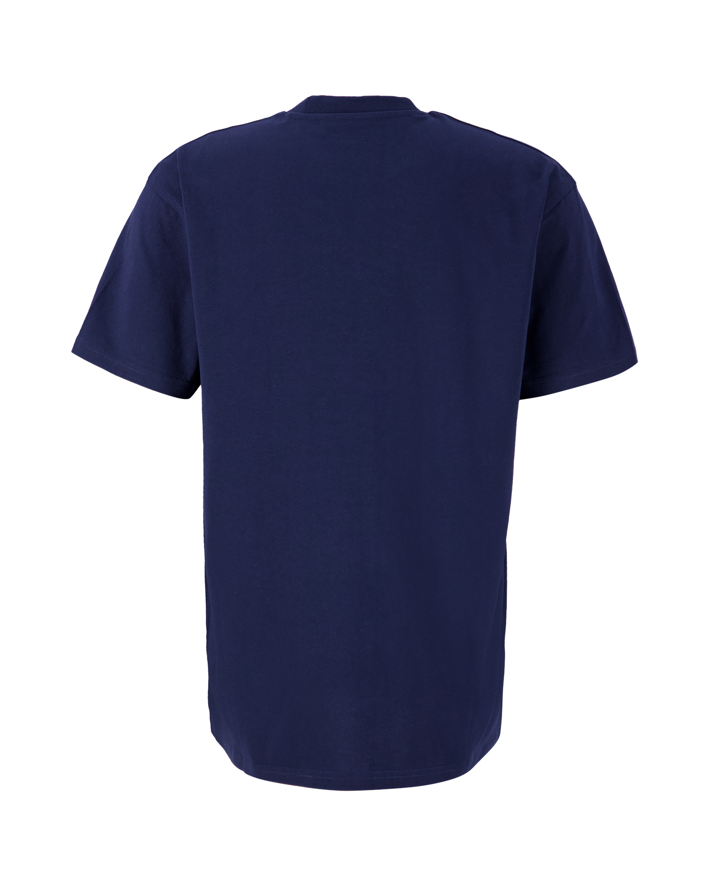 Carhartt WIP S/S American Script T-Shirt BLAUW 2