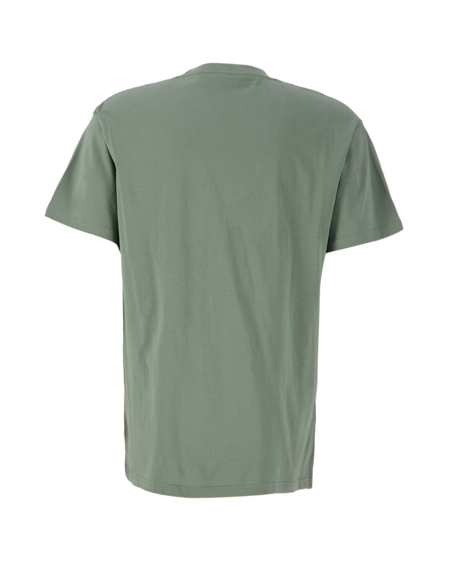 Carhartt WIP S/S Script Embroidery T-Shirt GROEN 2