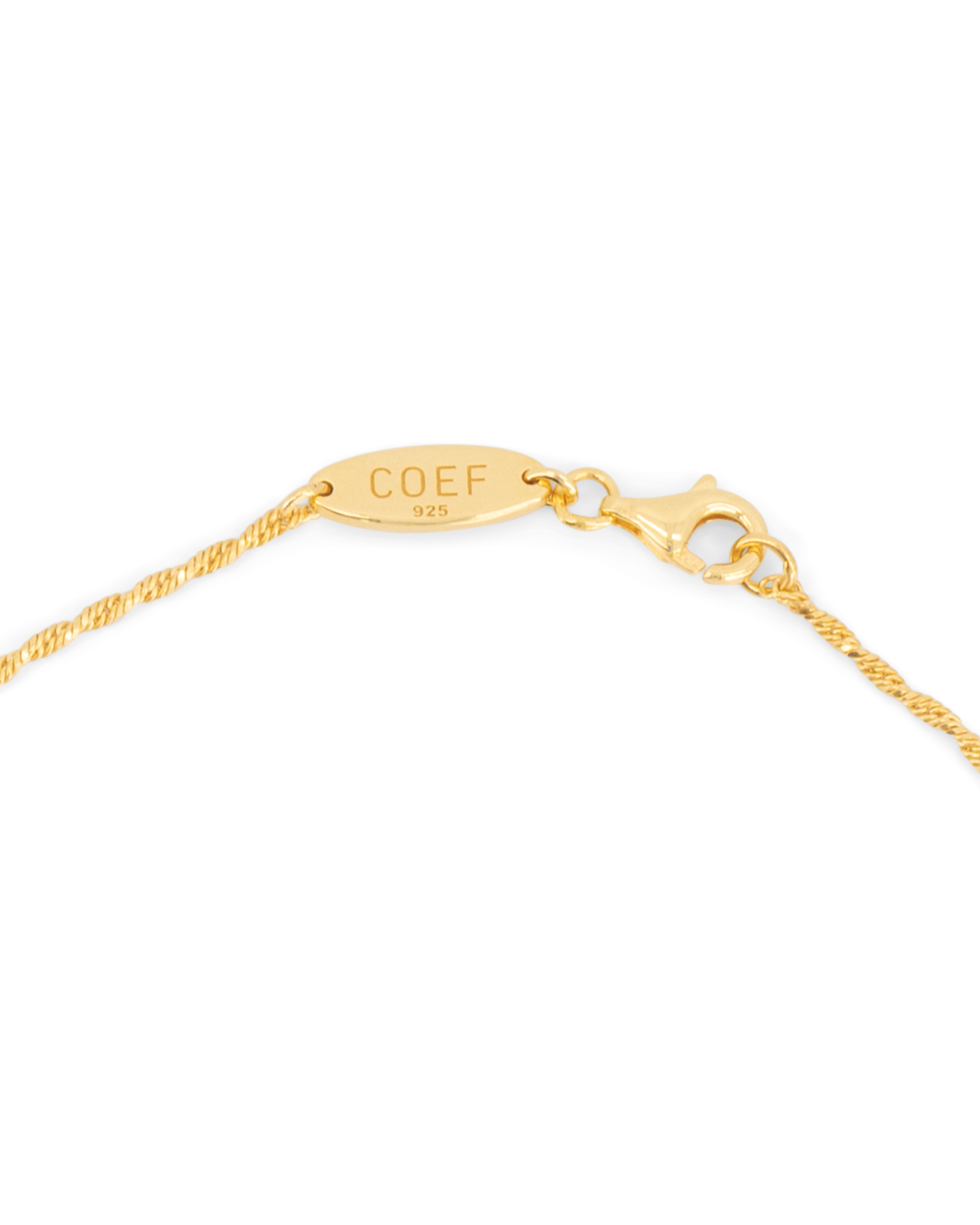 Coef Luca Necklace GOUD 2
