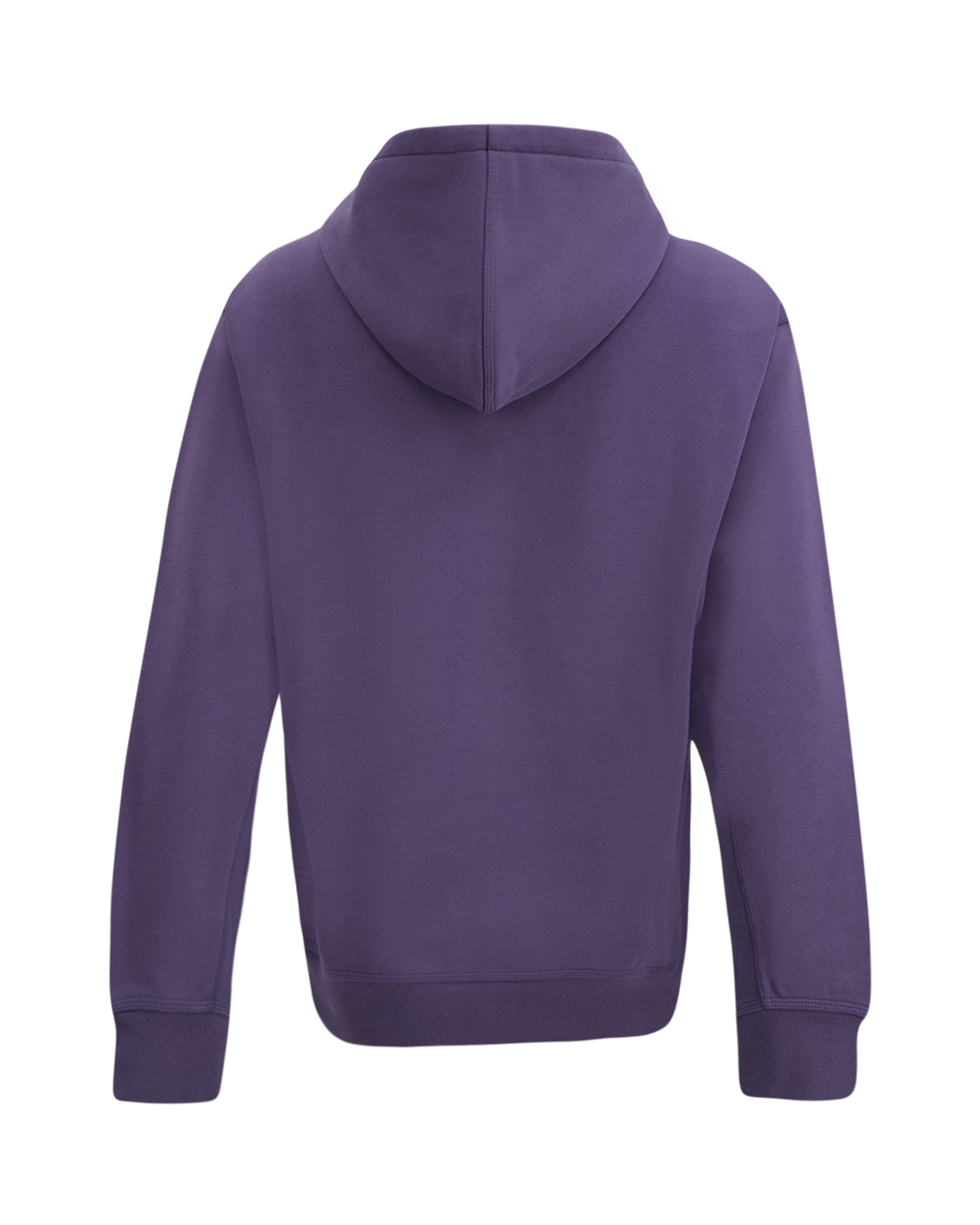 Carhartt Hooded American Script Jacket PAARS 2