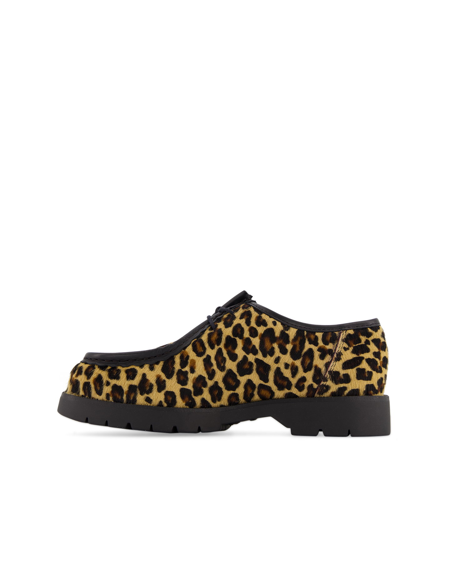 Kleman Padror Xfun BRUIN 3