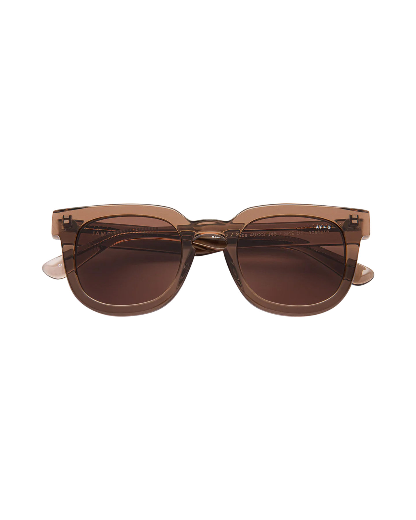 AY Studios Vision BRUIN 1