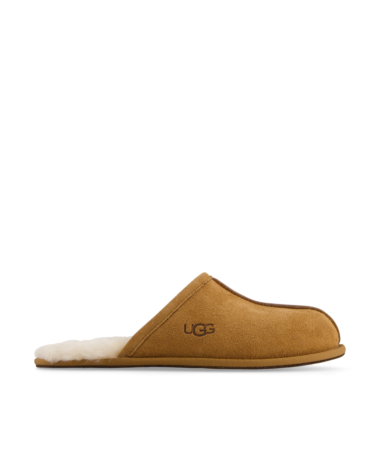 UGG M Scuff BRUIN 1