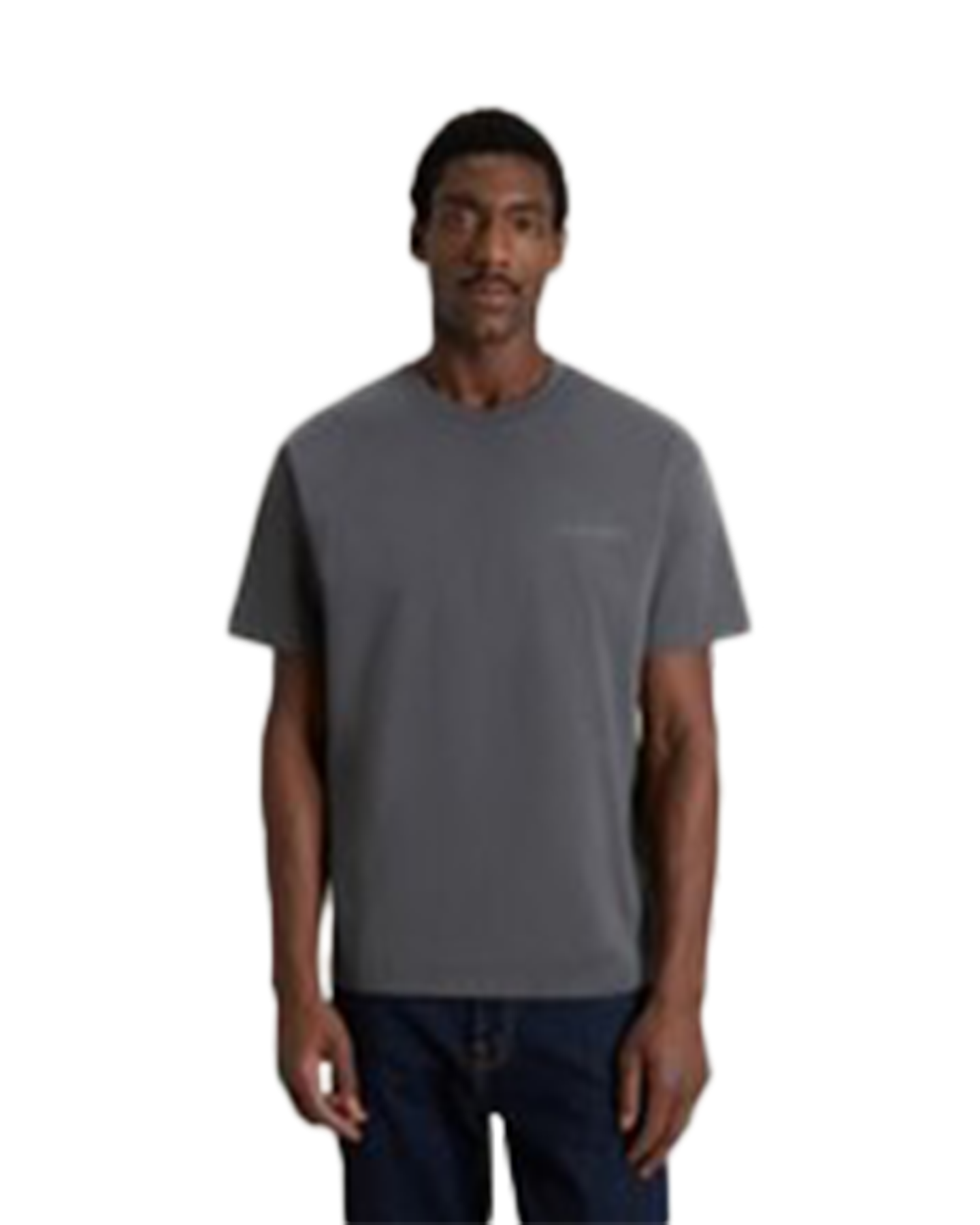 Woolrich Cotton Graphic T-Shirt GRIJS 3