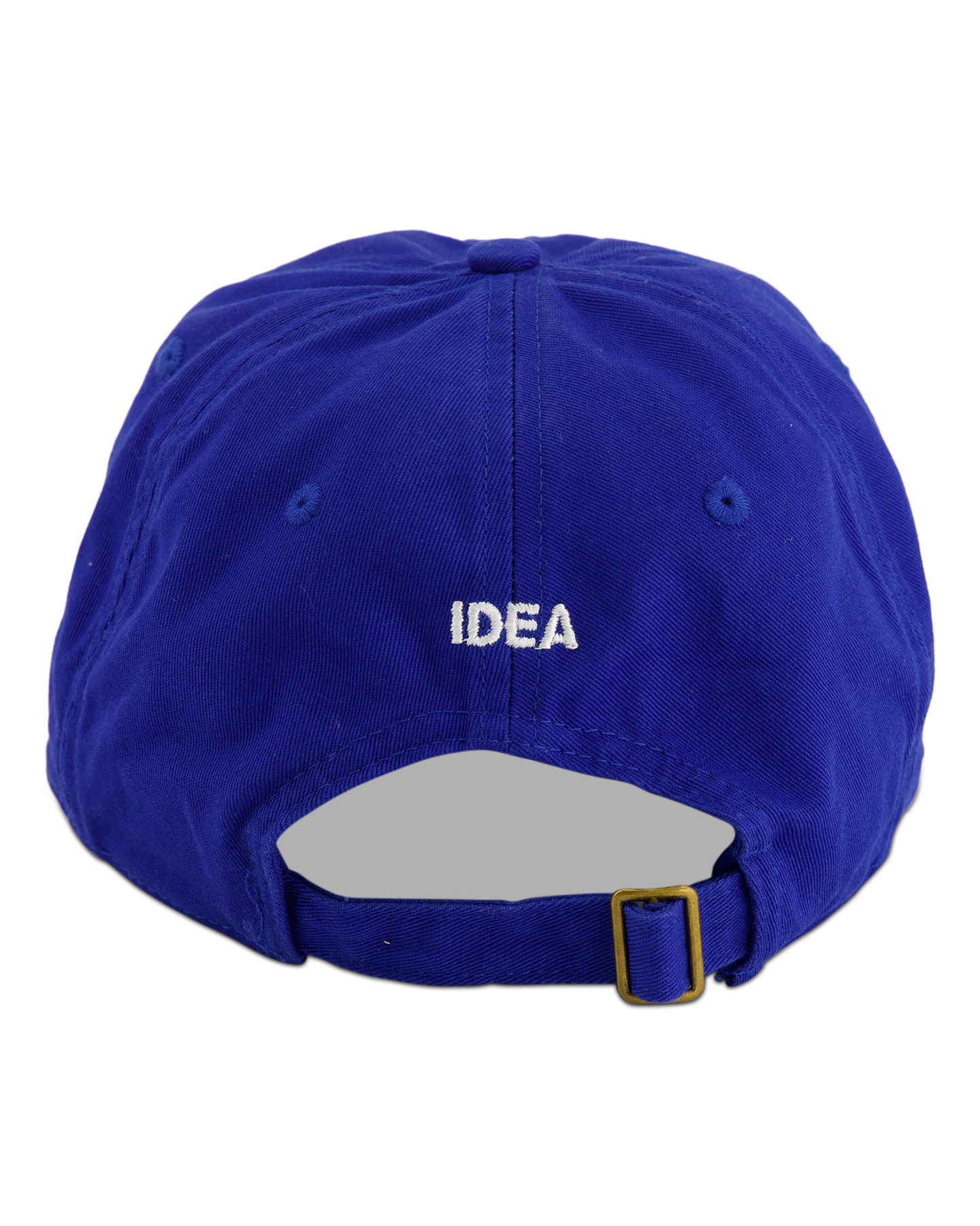 IDEA FLIGHT RISK HAT BLAUW 4