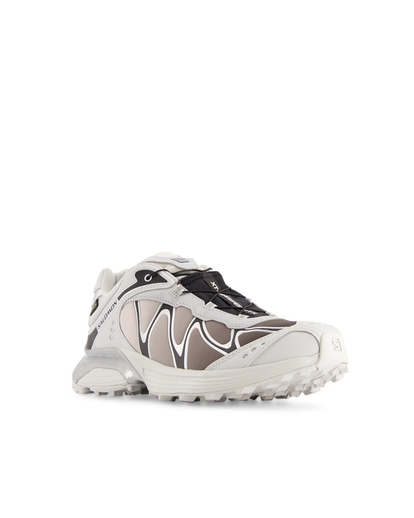 Salomon XT-Whisper GTX LICHTGRIJS 2