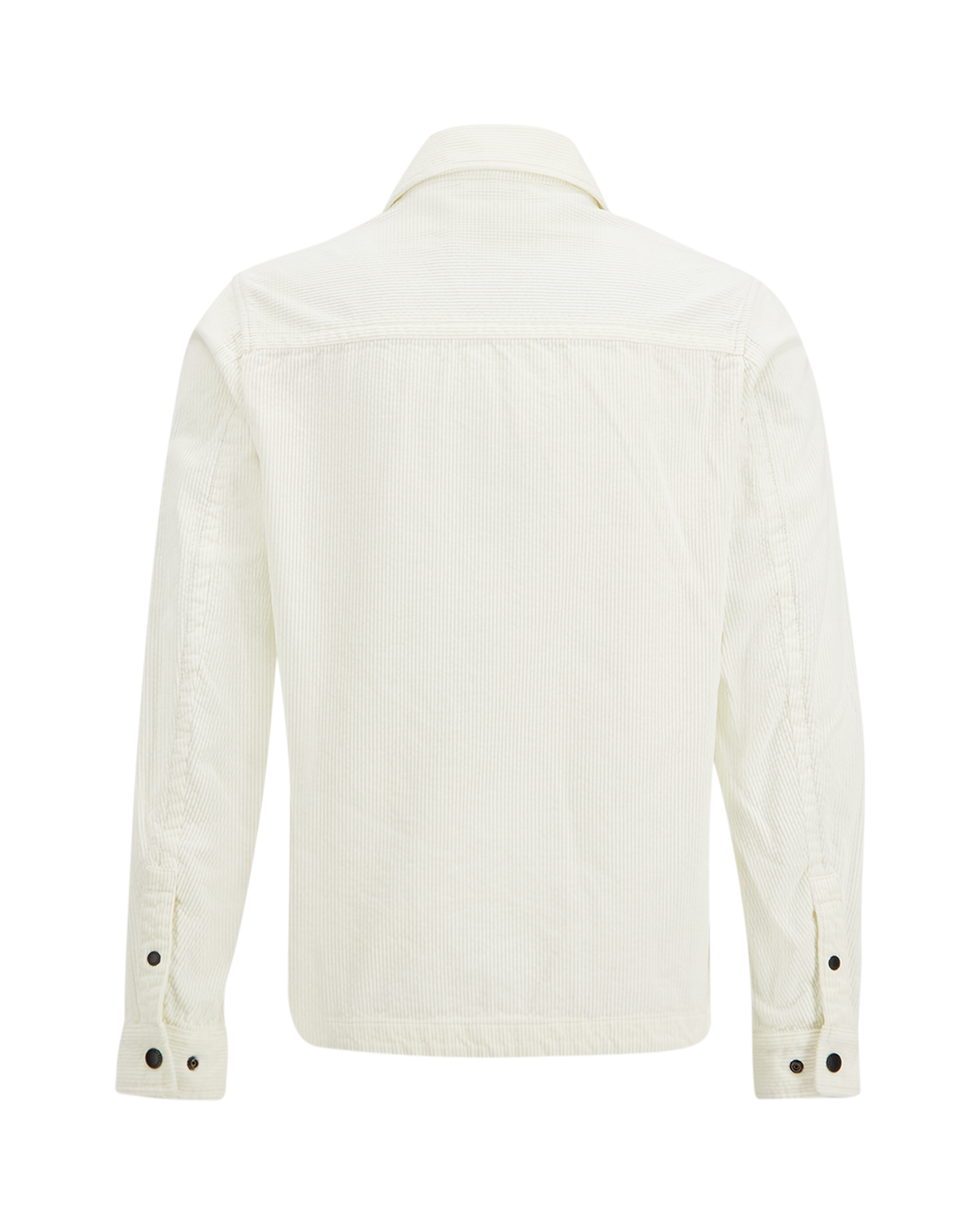 Parajumpers Galross   Man BEIGE 2