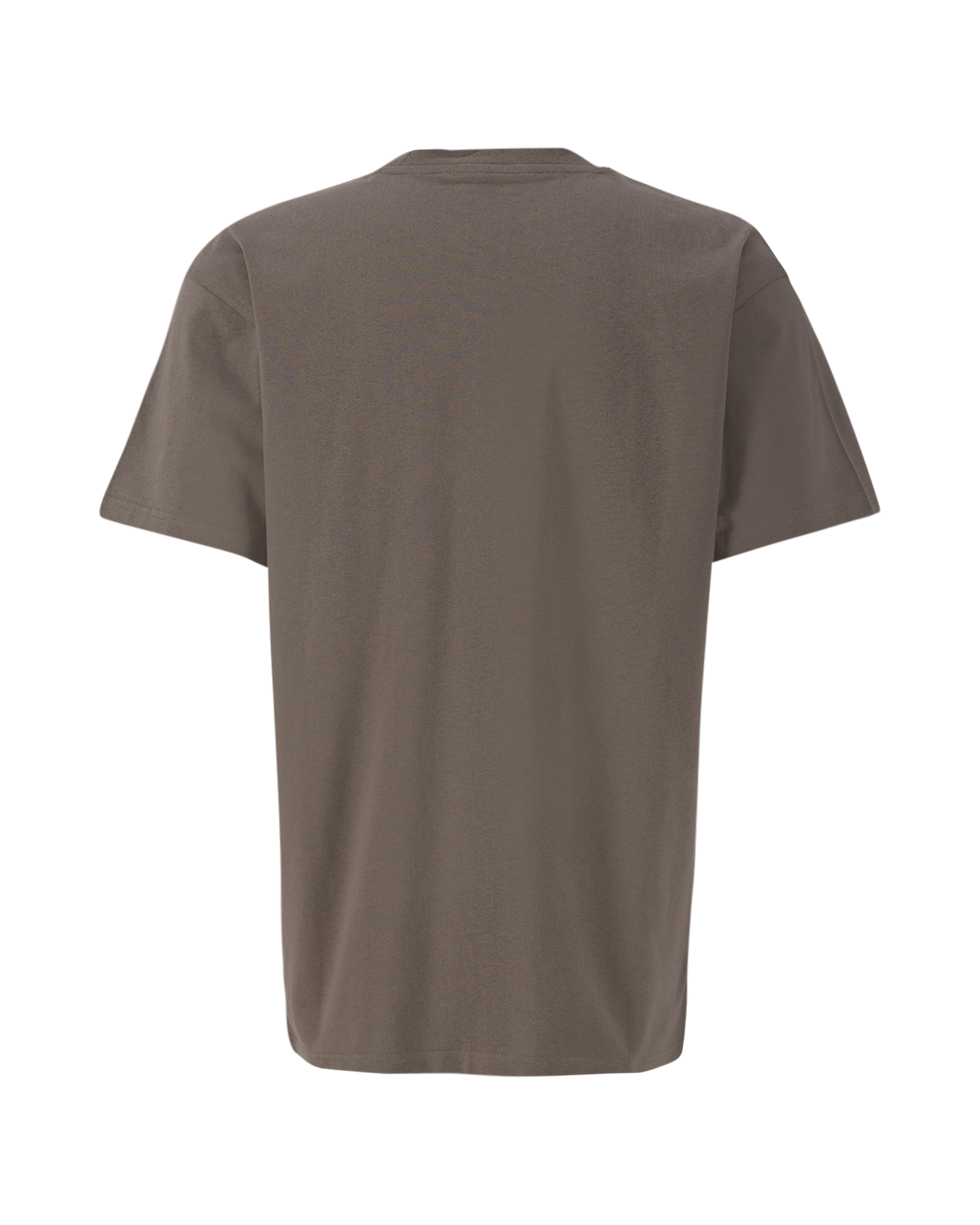 Carhartt WIP S/S American Script T-Shirt TAUPE 2