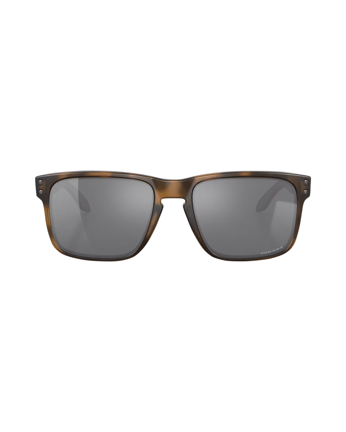 Oakley Holbrook BRUIN 2