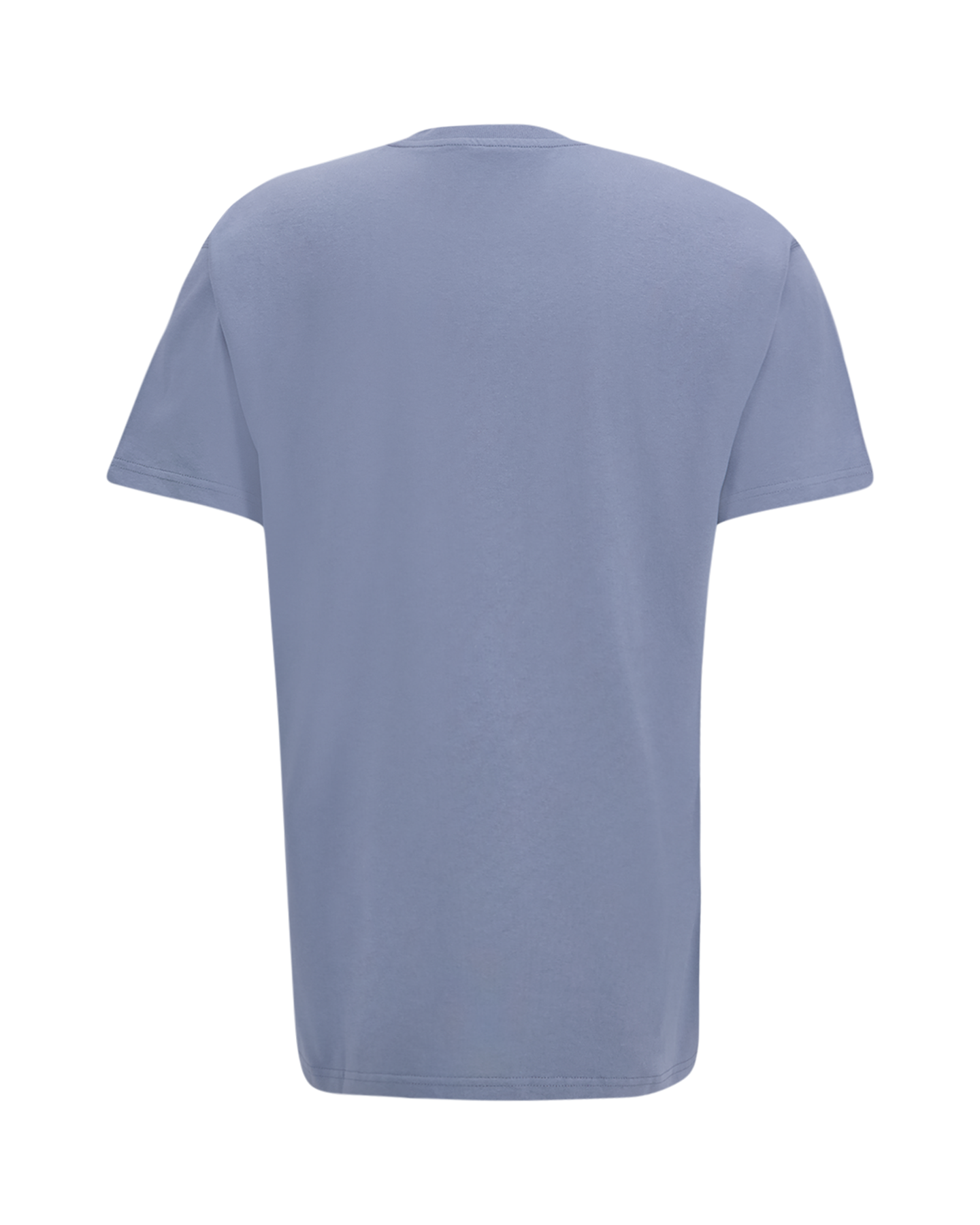 Carhartt S/S American Script T Shirt BLAUW 2