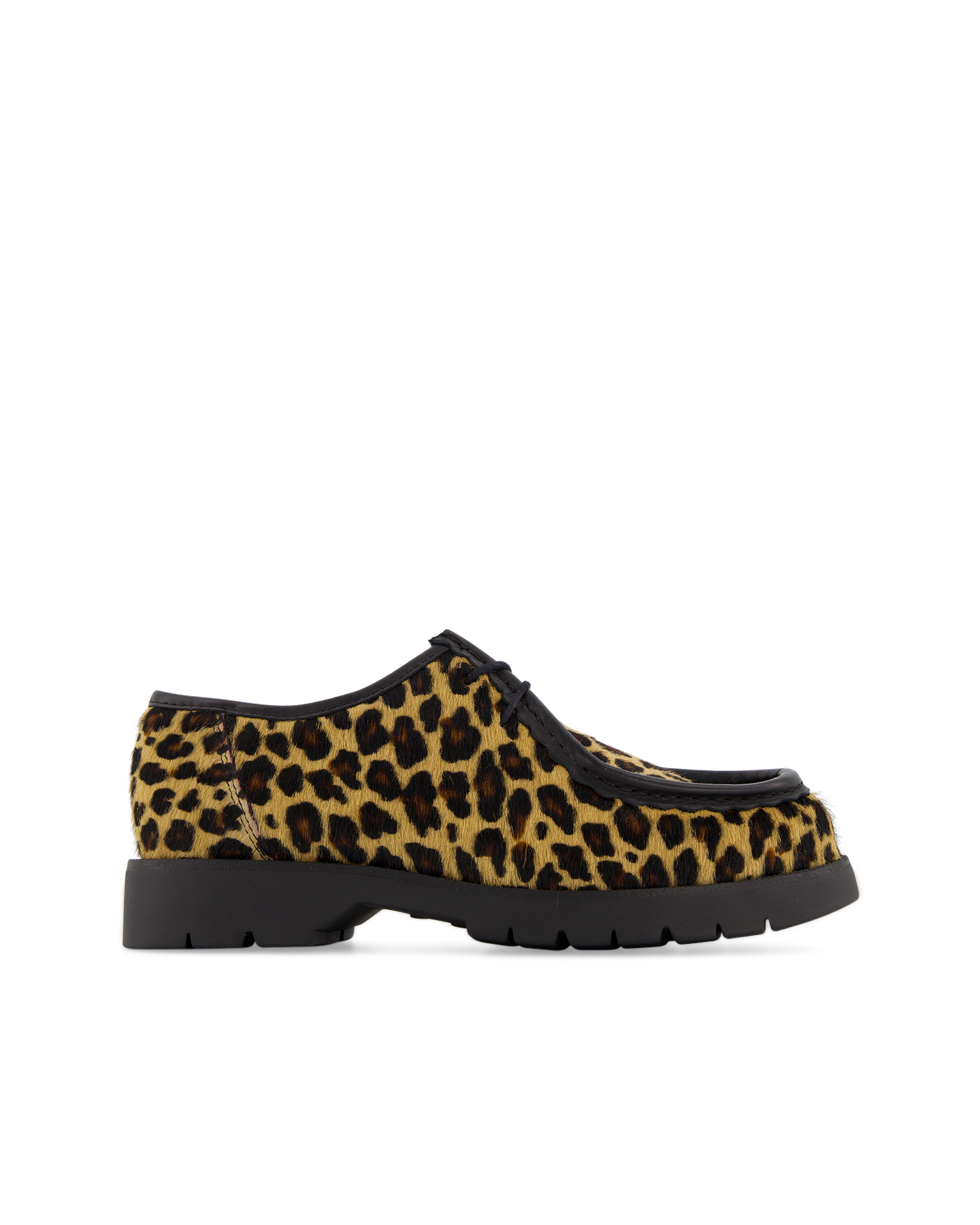 Kleman Padror Xfun BRUIN 1