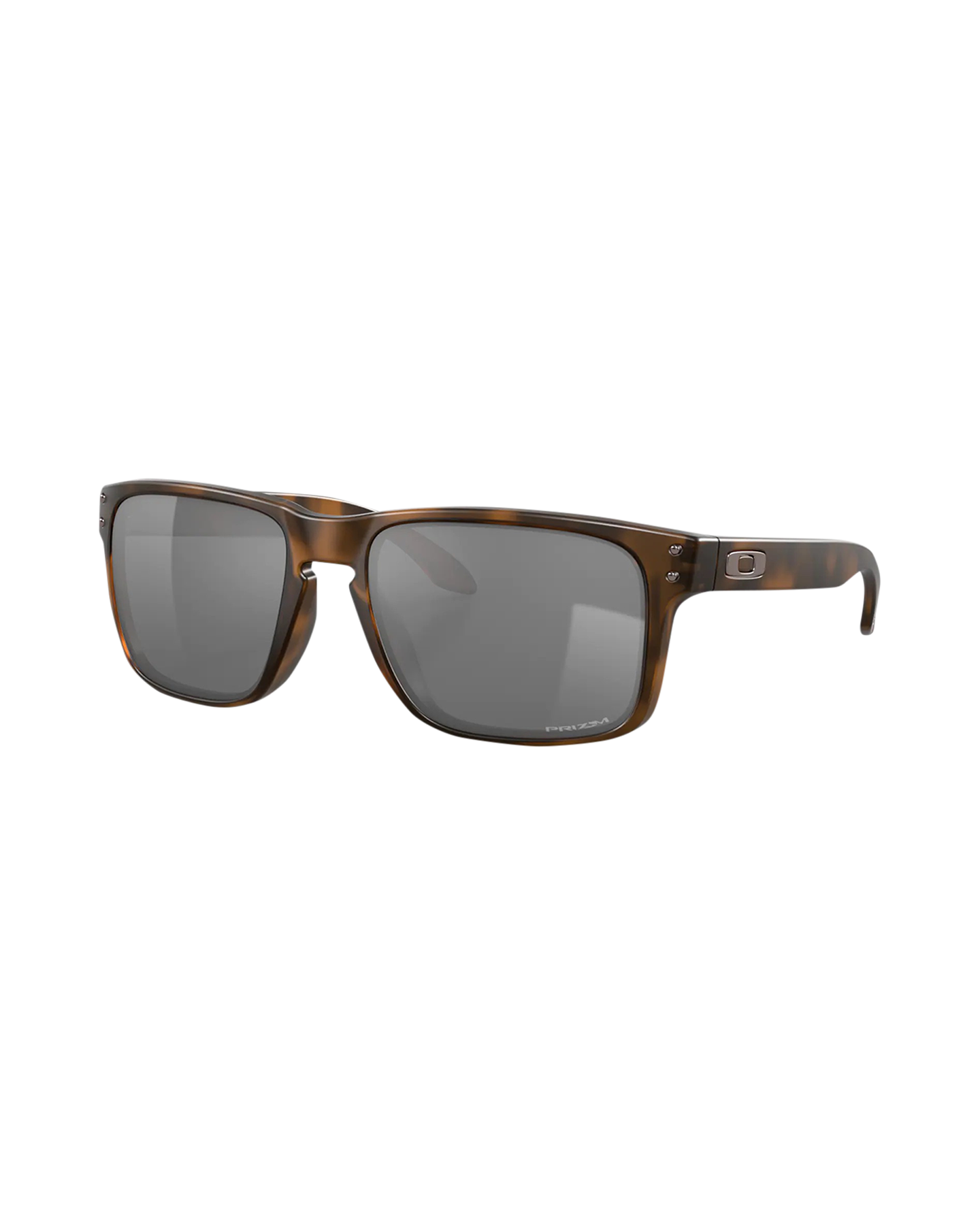 Oakley Holbrook BRUIN 1