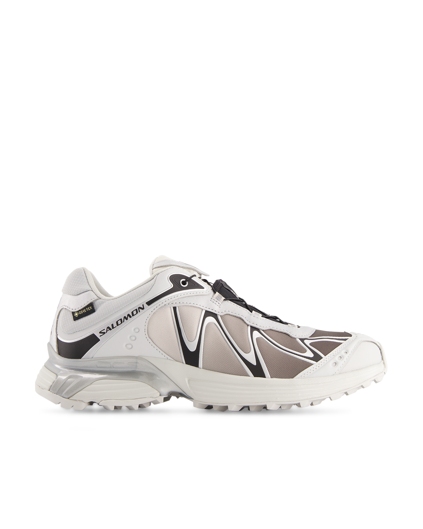 Salomon XT-Whisper GTX LICHTGRIJS 1