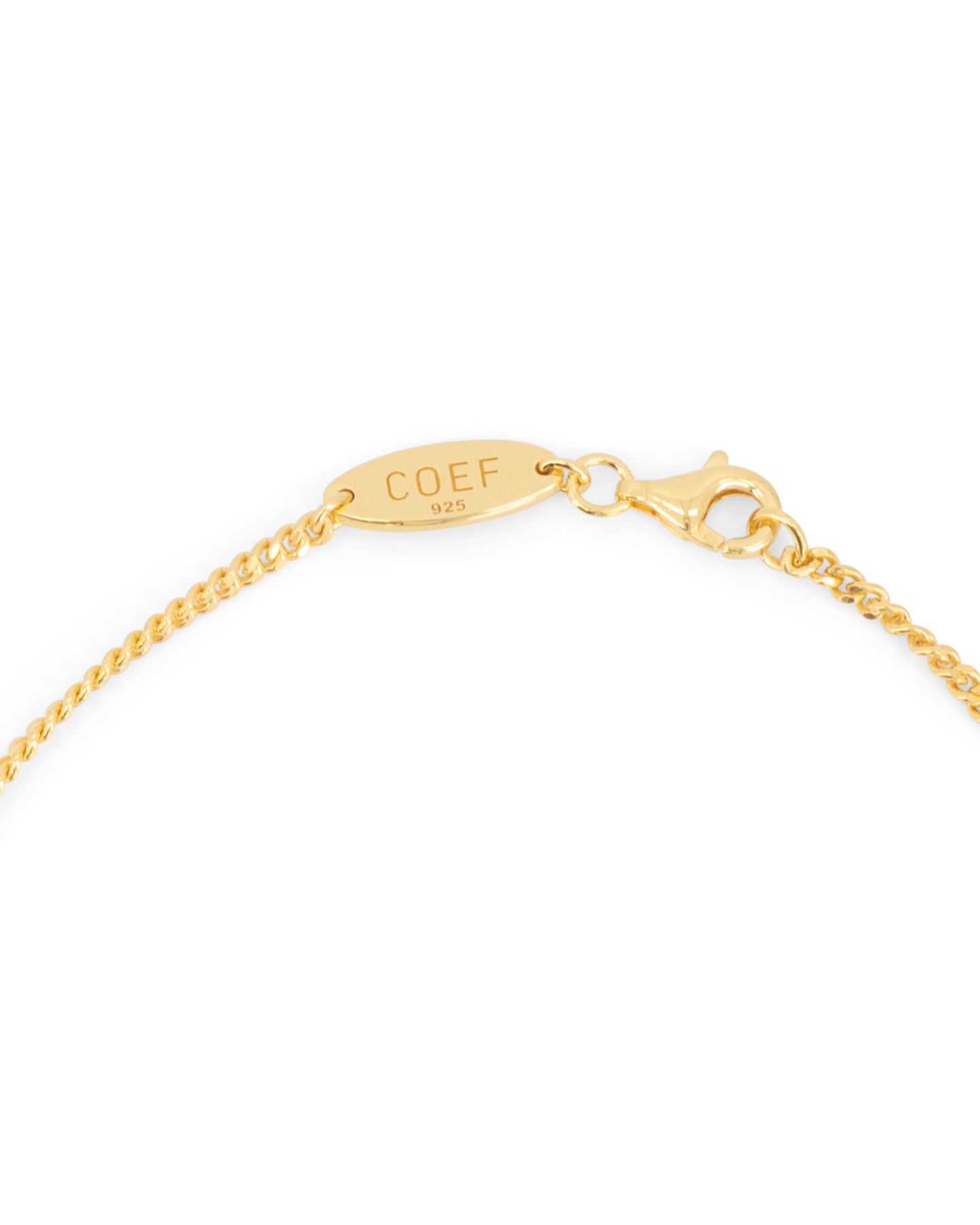 Coef Mauro Necklace GOUD 2