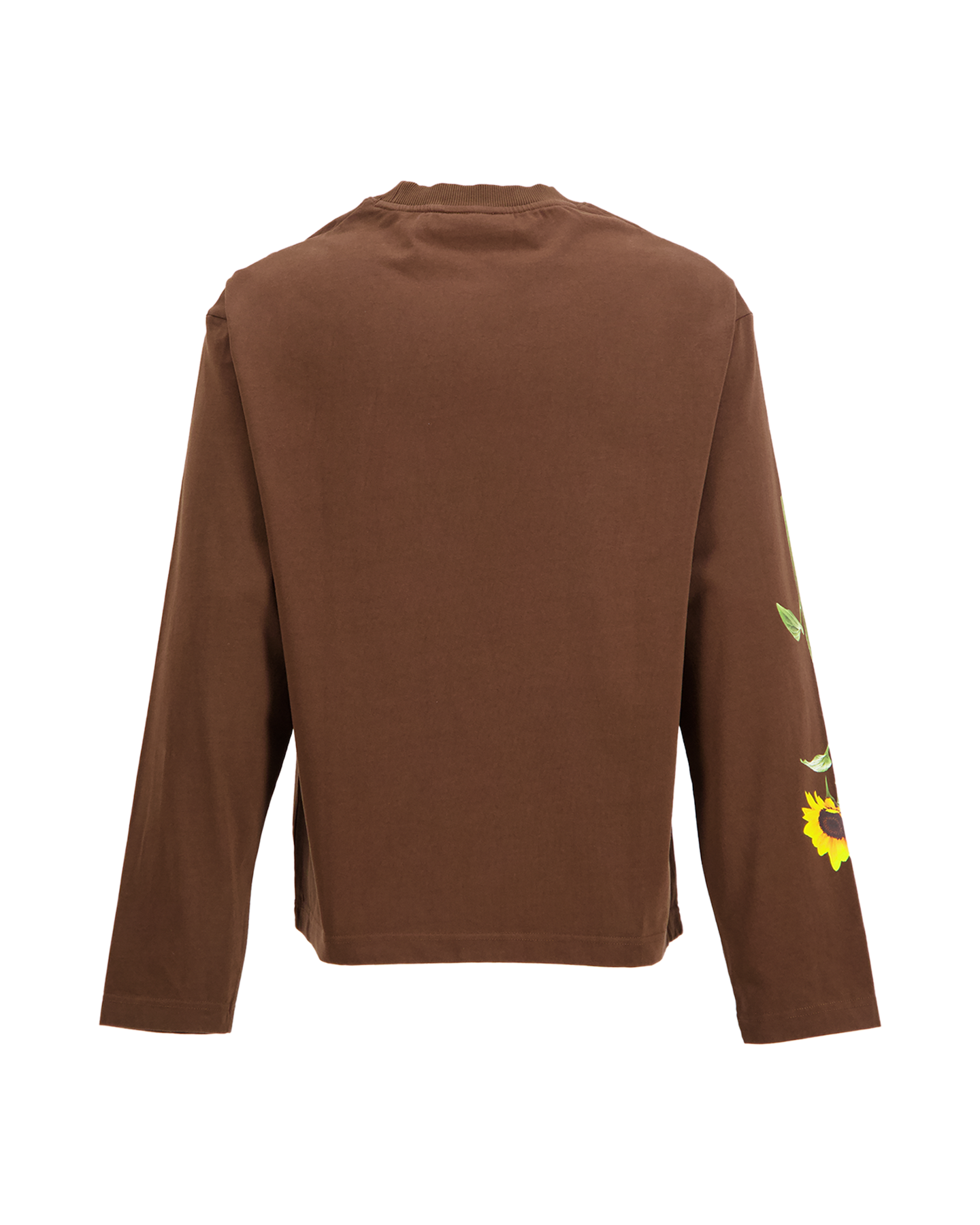Brams Fruit Sunflower Longsleeve BRUIN 2